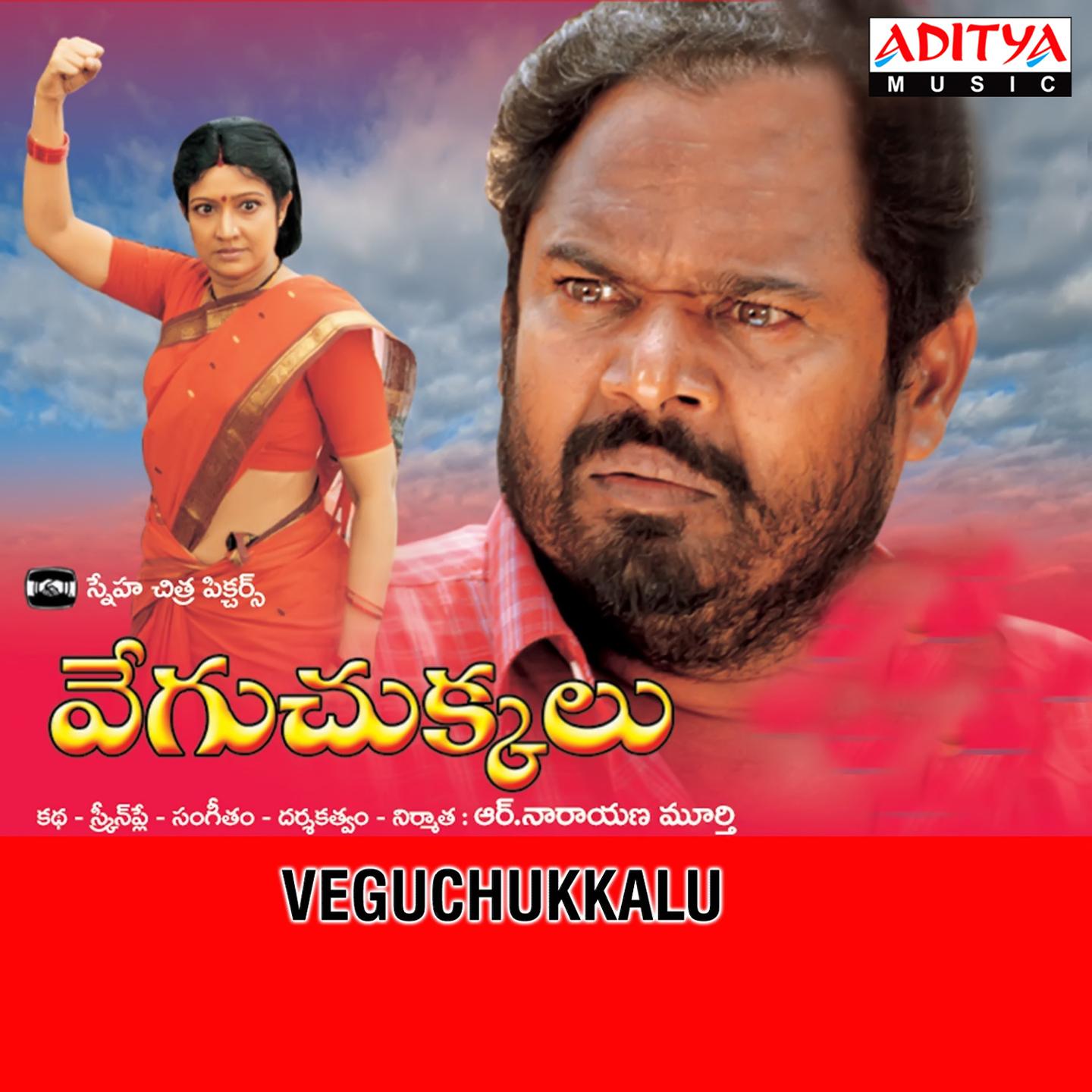 Постер альбома Vegu Chukkalu