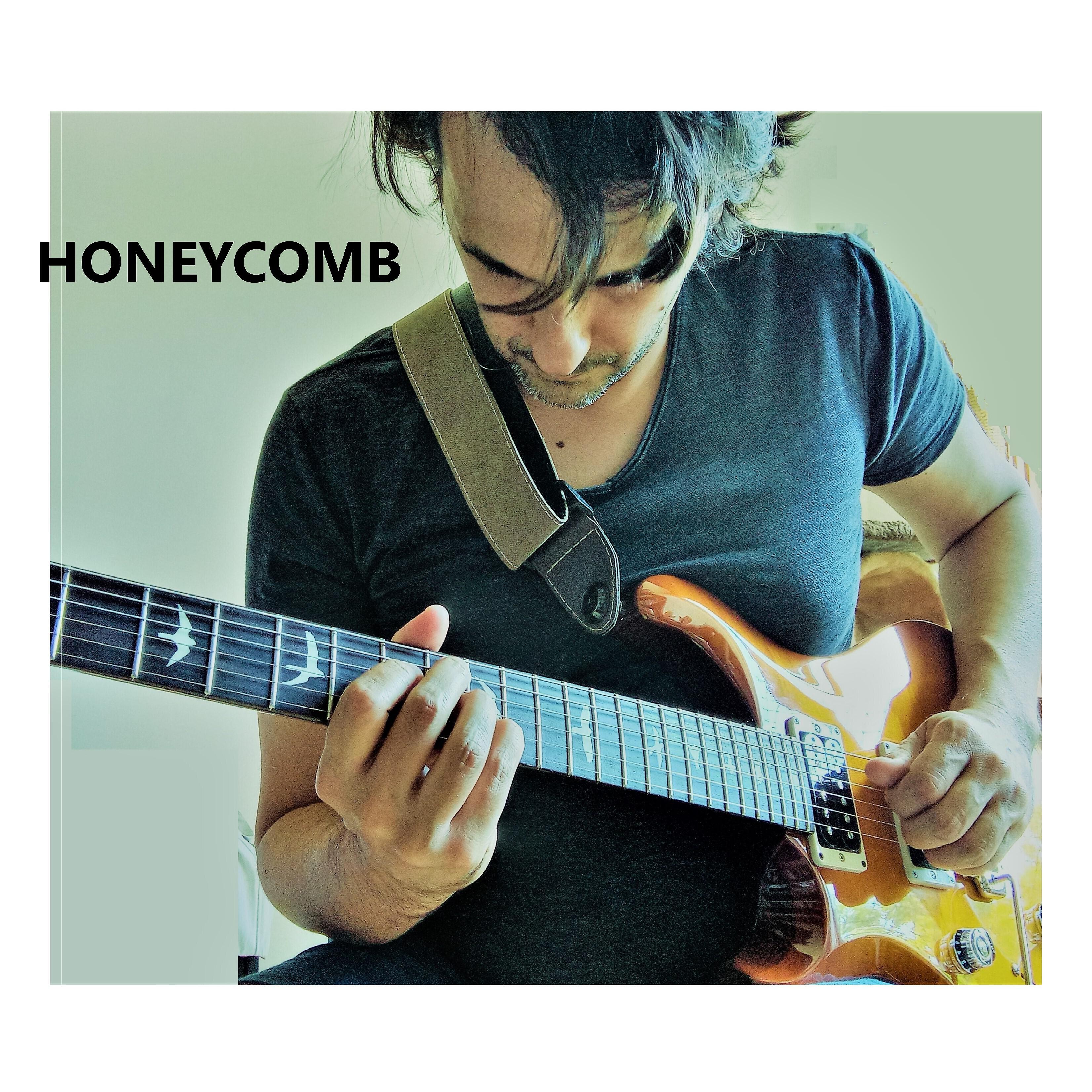 Fábio Antônio Dias Leal - Honeycomb