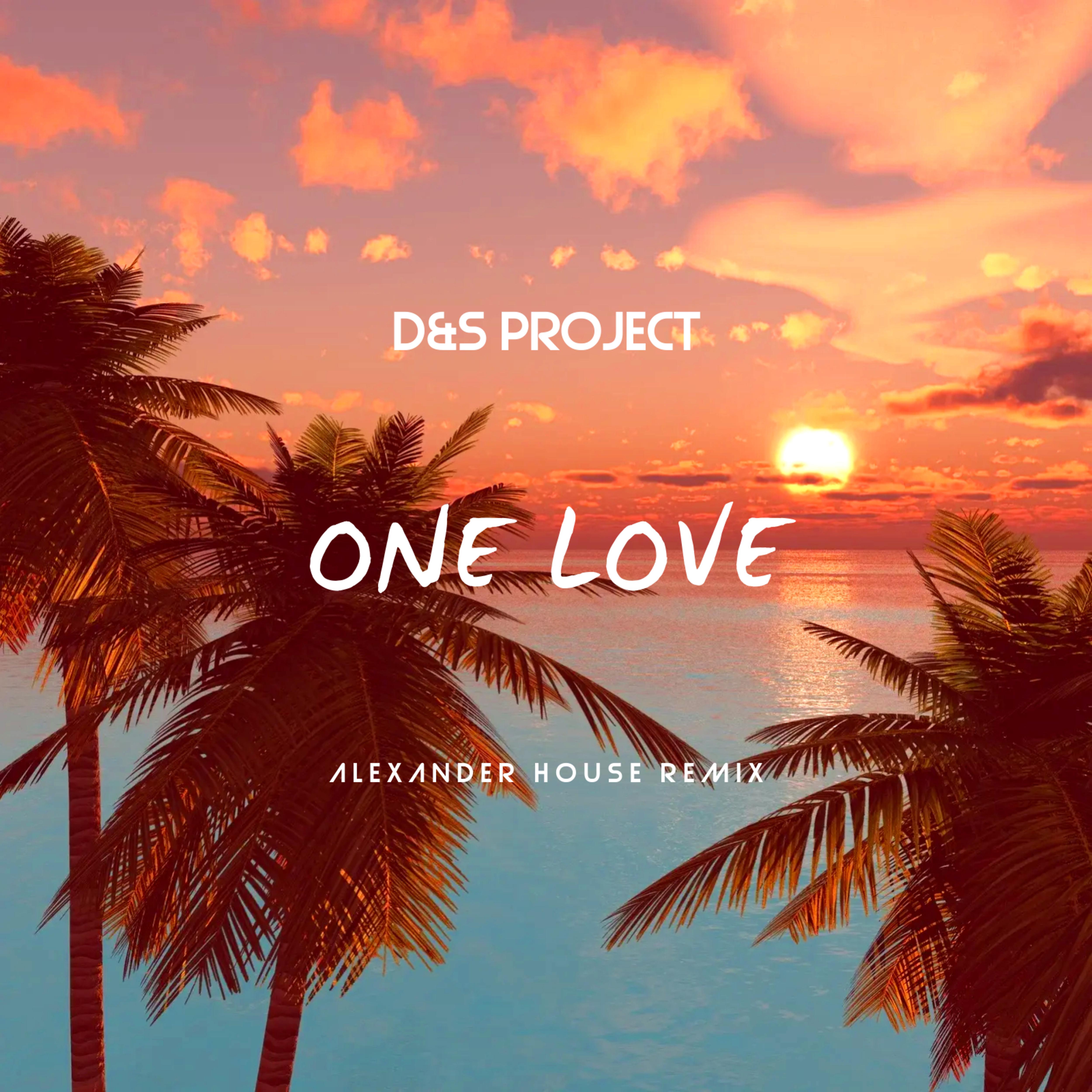 Постер альбома One Love Alexander House (Remix)