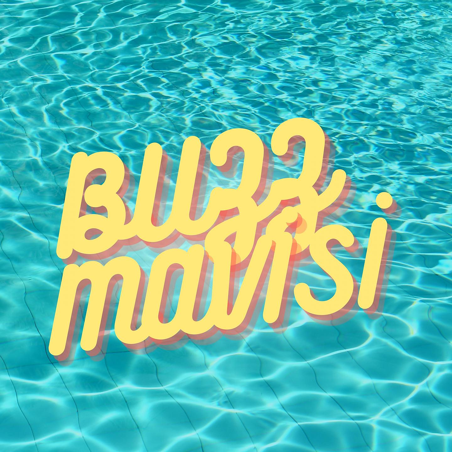 Постер альбома Buz Mavisi