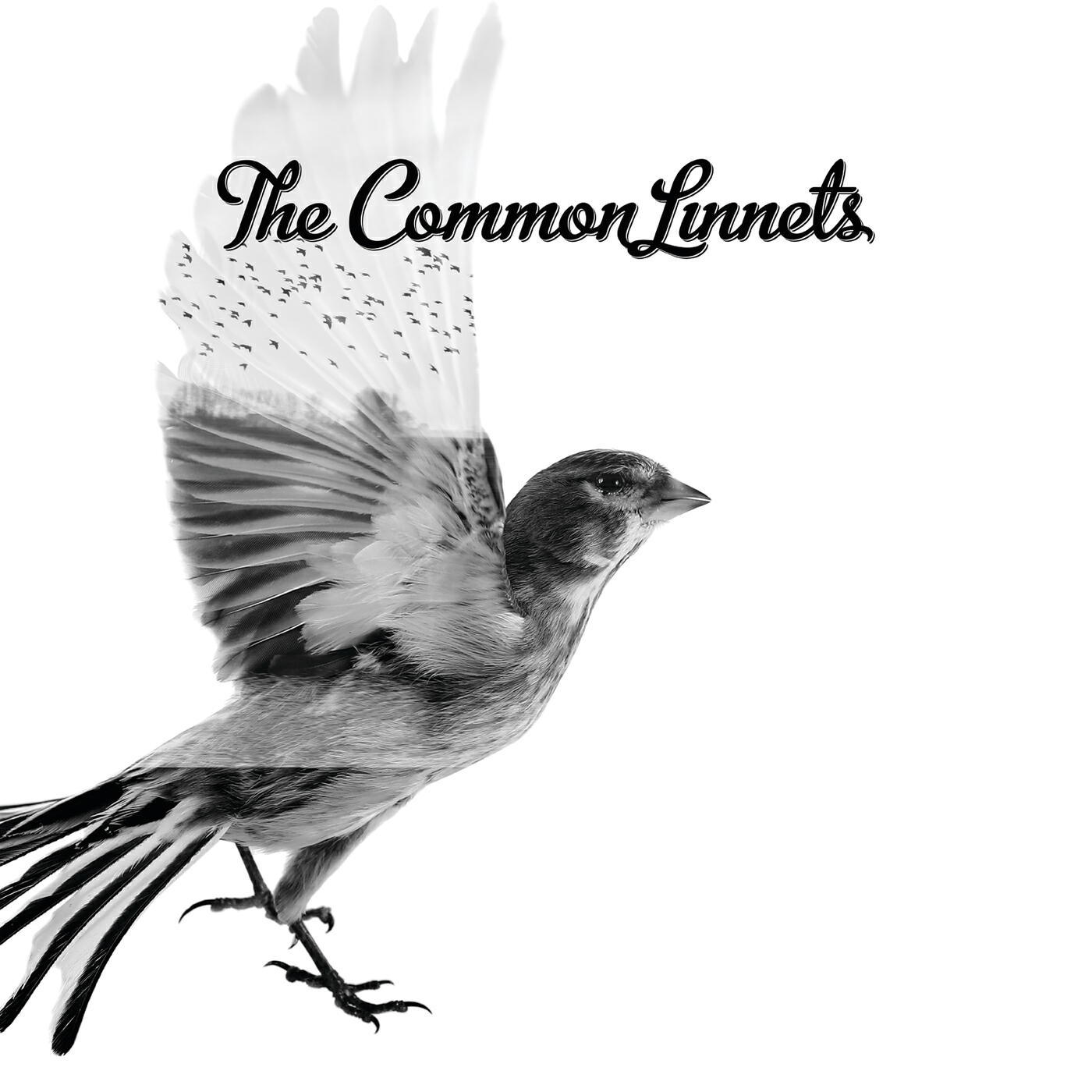 The Common Linnets - Before Complete Surrender