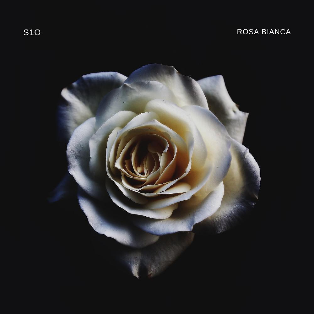 Постер альбома Rosa Bianca