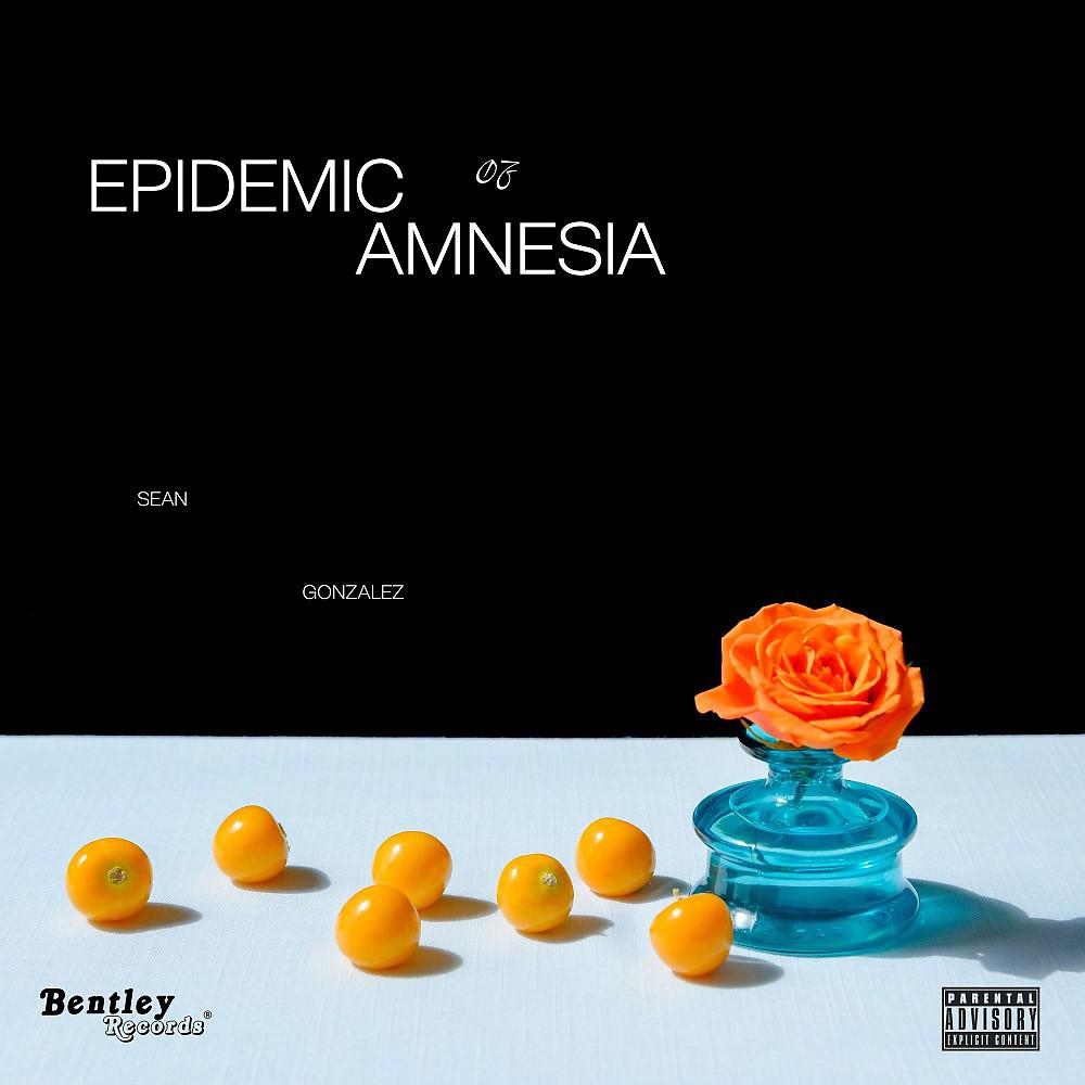 Постер альбома Epidemic of Amnesia