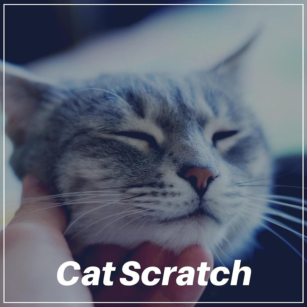 Постер альбома Cat Scratch