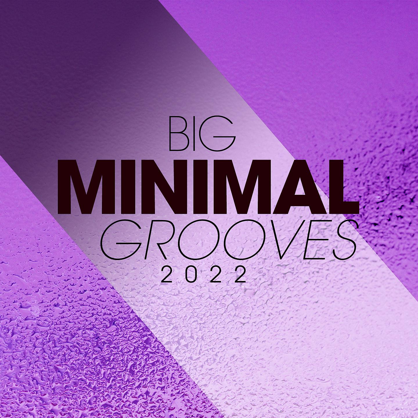 Постер альбома Big Minimal Grooves 2022