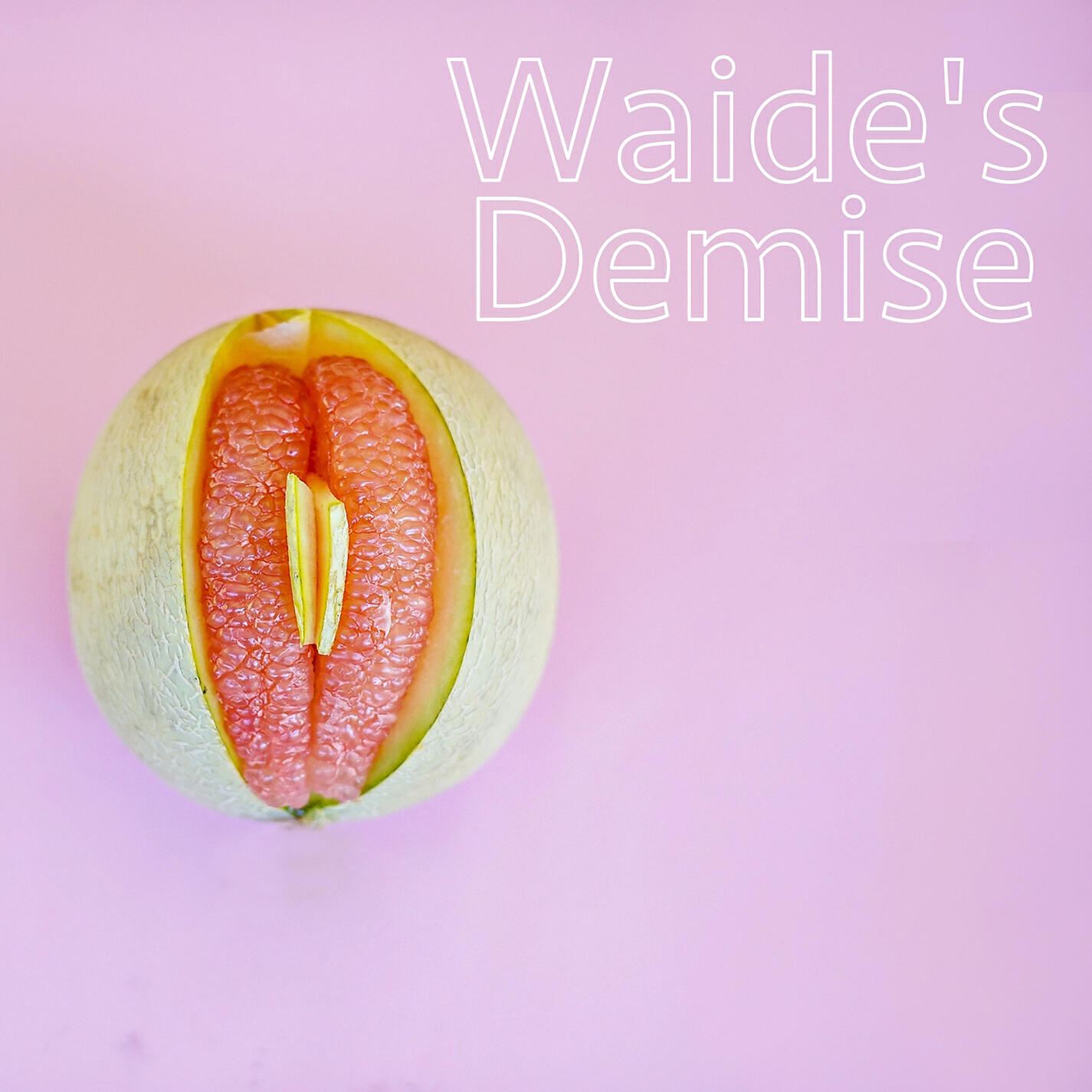 Waide Lemos - Waide's Demise