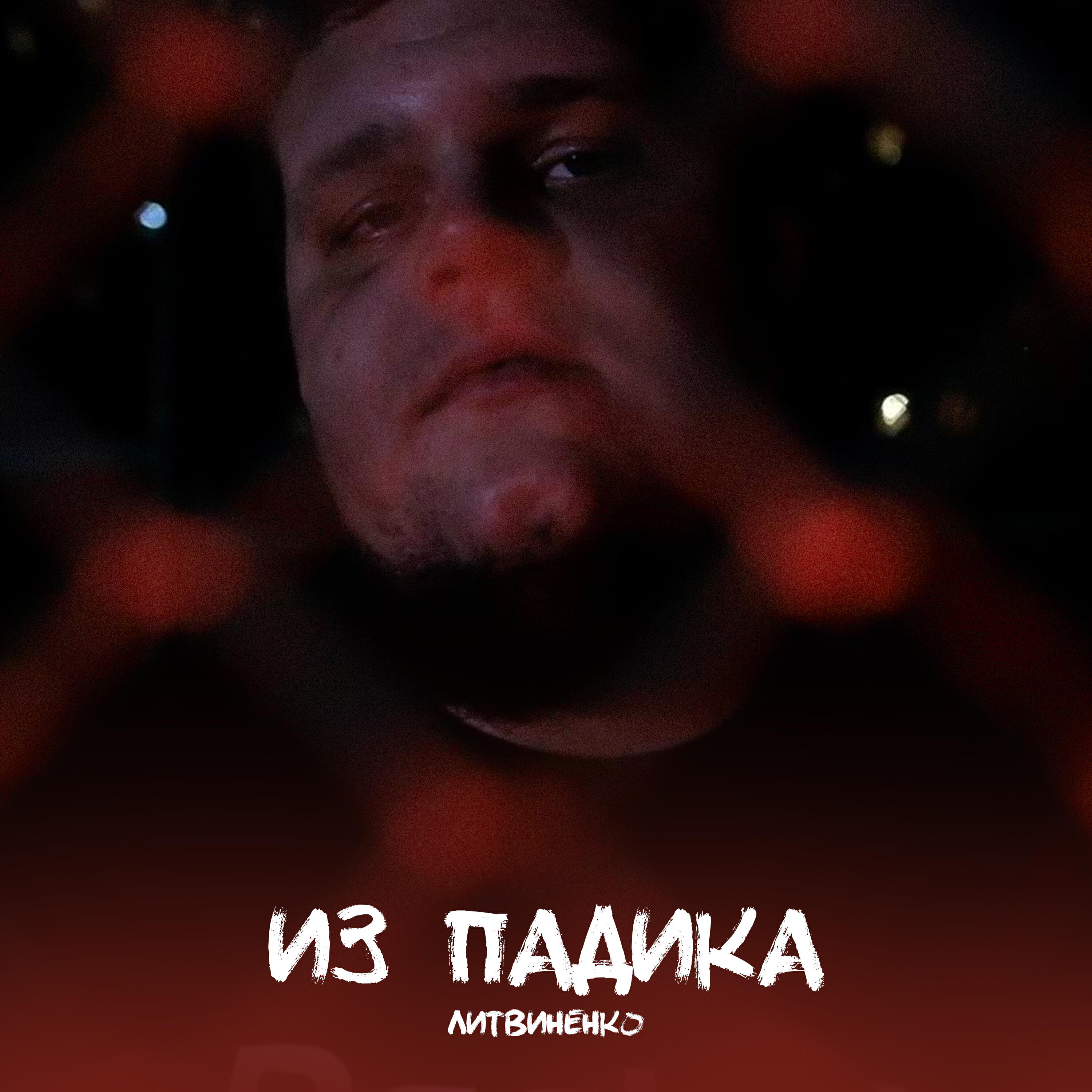 Летвенко за туманами ремикс. Литвиненко певец. Литвиненко за туманами. Литвиненко законы маня. Павле литвиненко певец.