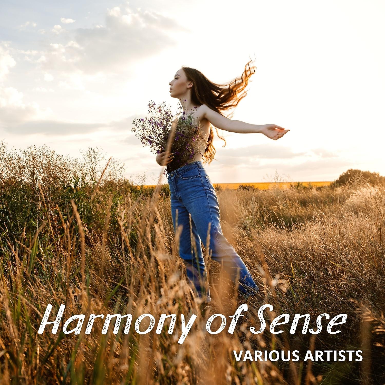 Постер альбома Harmony of Sense