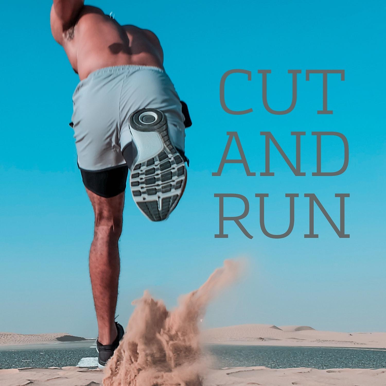 Постер альбома Cut and Run