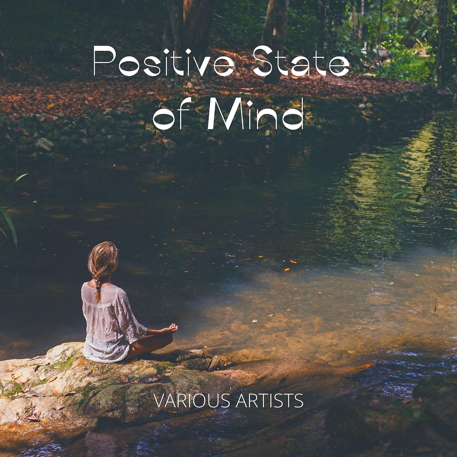 Постер альбома Positive State of Mind