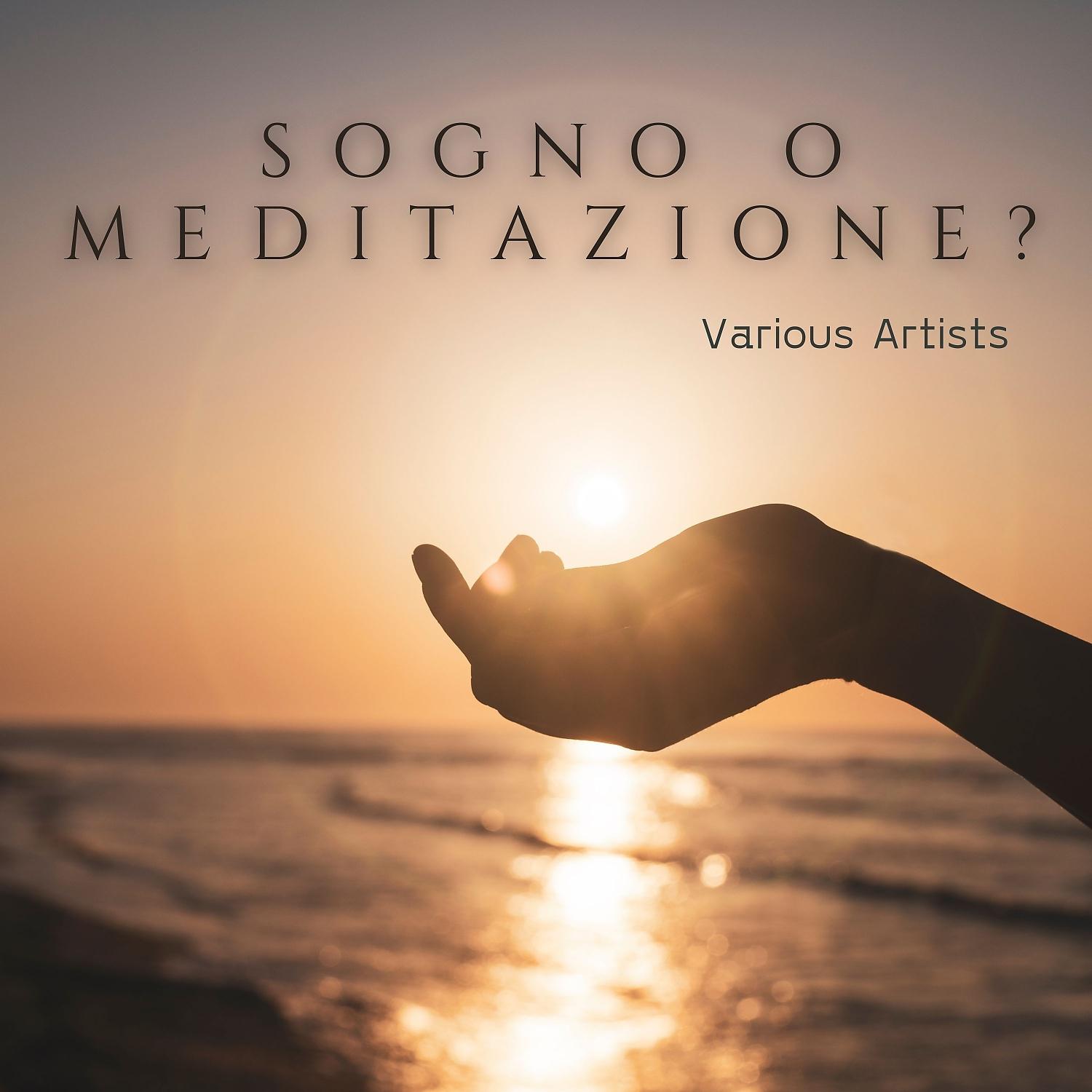 Постер альбома Sogno o meditazione?