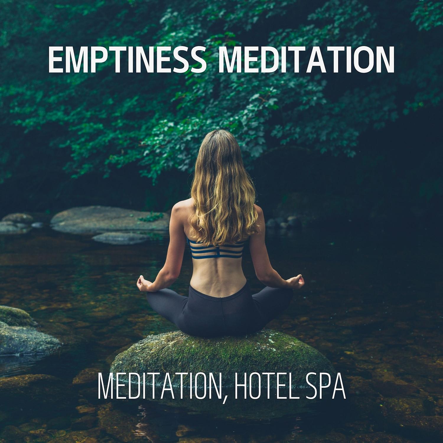 Постер альбома Emptiness Meditation