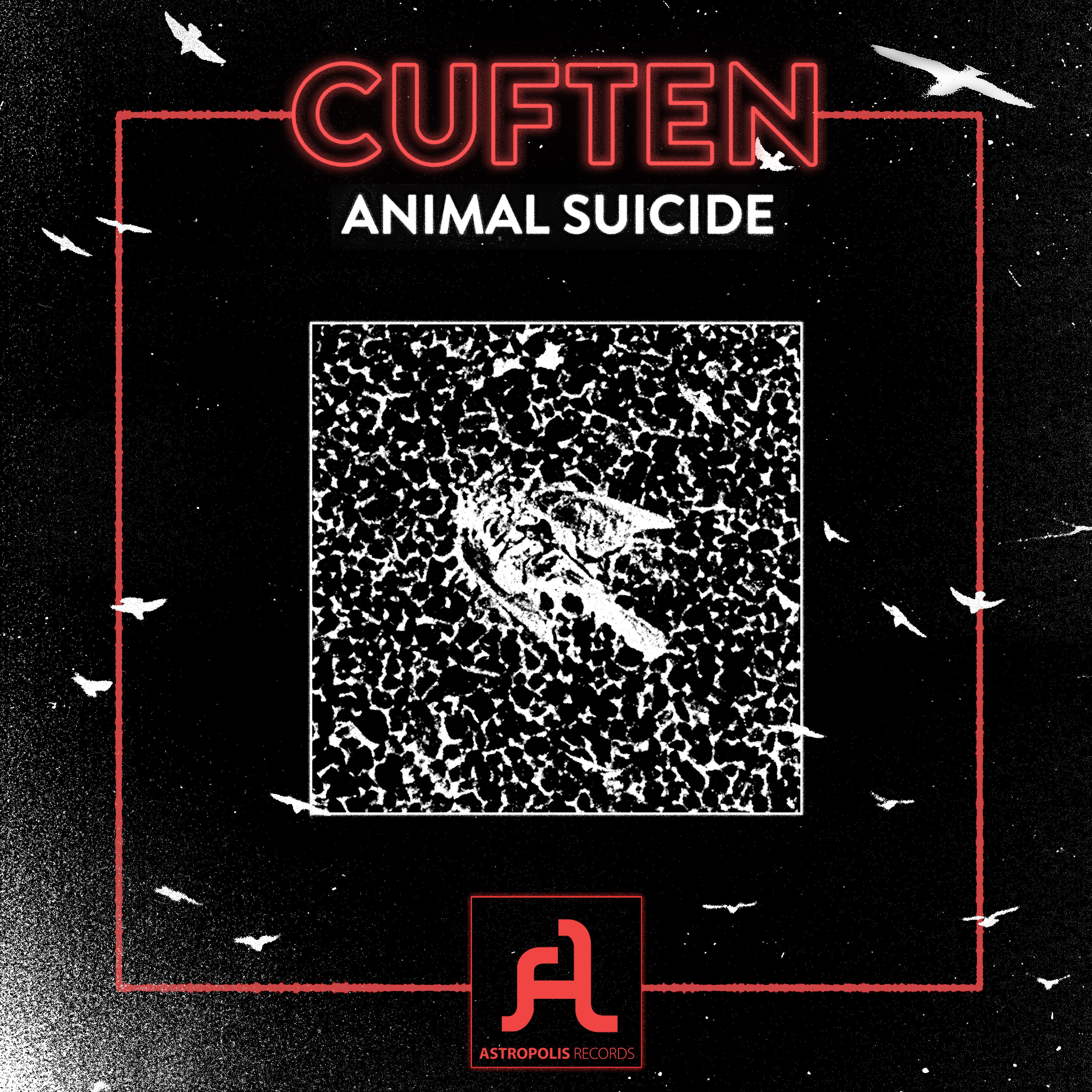 Постер альбома Animal Suicide