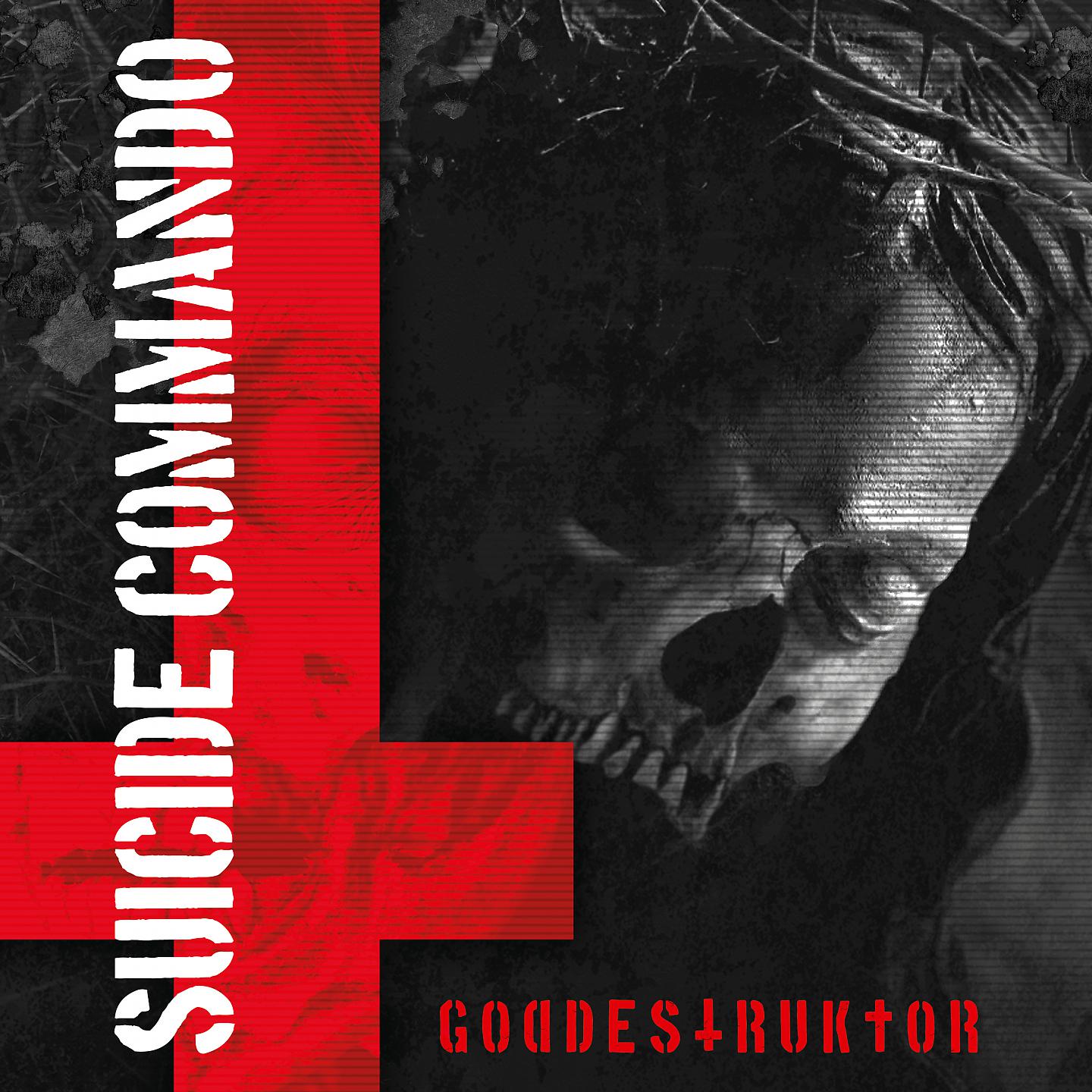 Постер альбома Goddestruktor