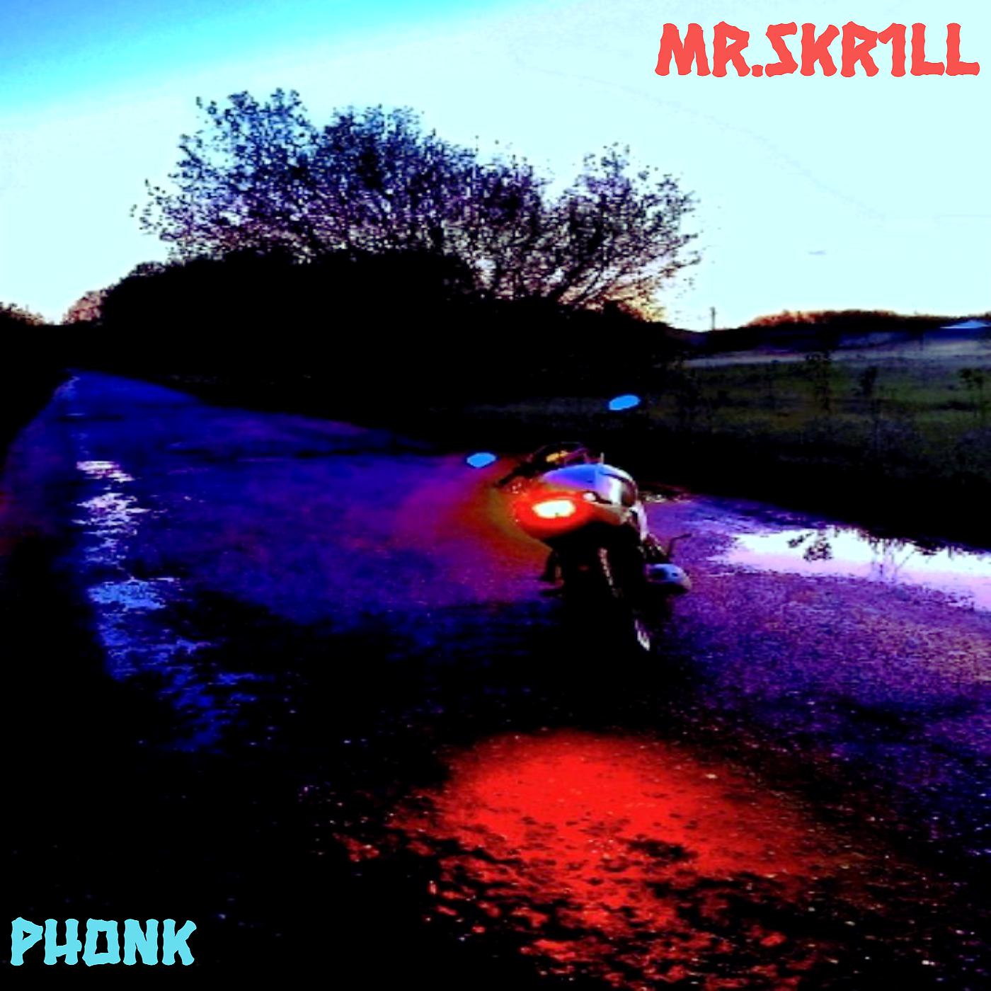 Постер альбома Phonk