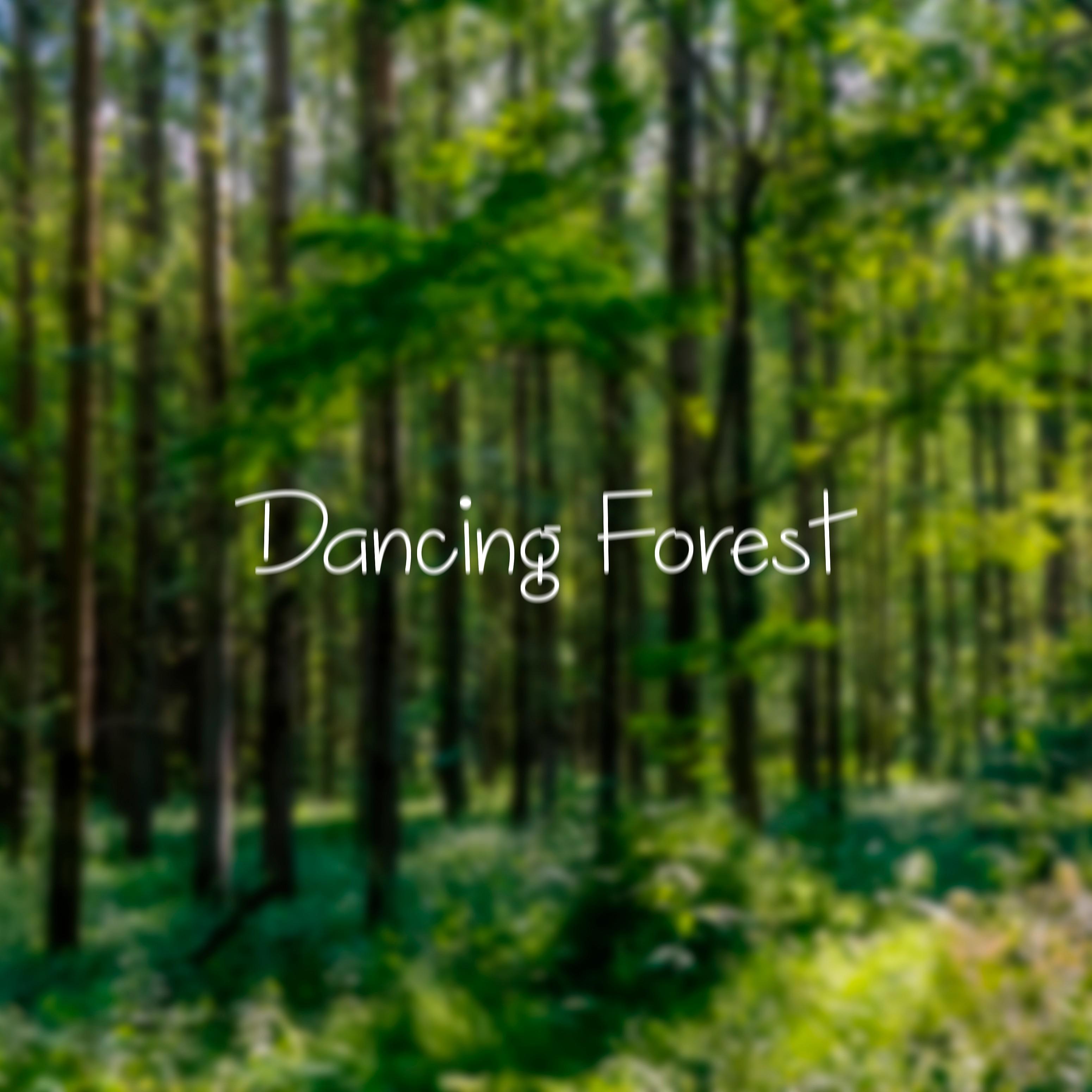 Постер альбома Dancing Forest