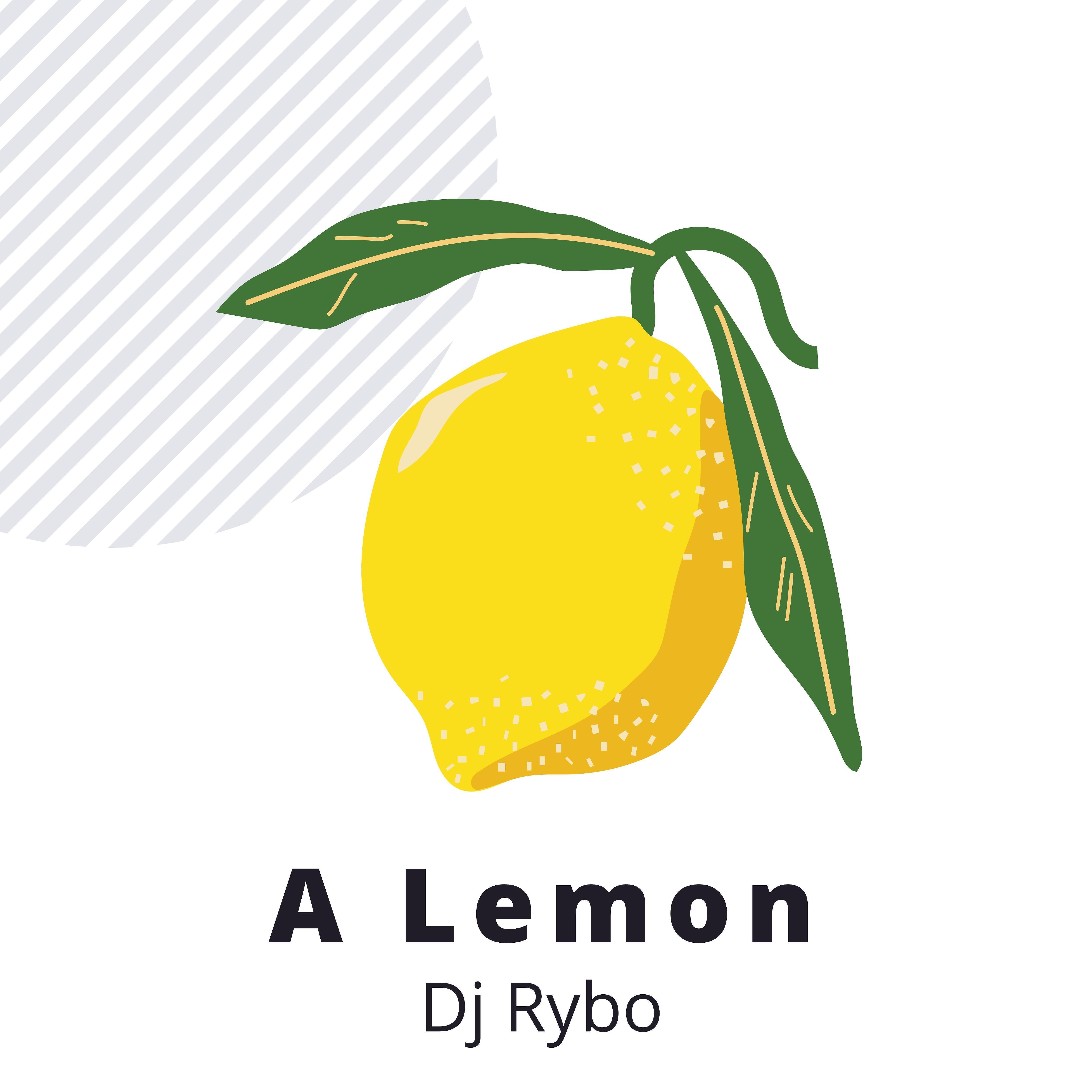Dj Rybo - A Little from Column a