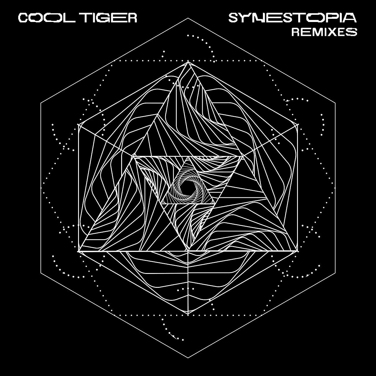 Постер альбома Synestopia Remixes