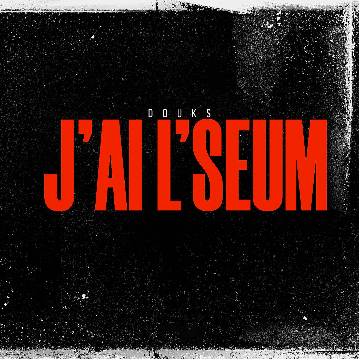 Постер альбома J’ai l’seum