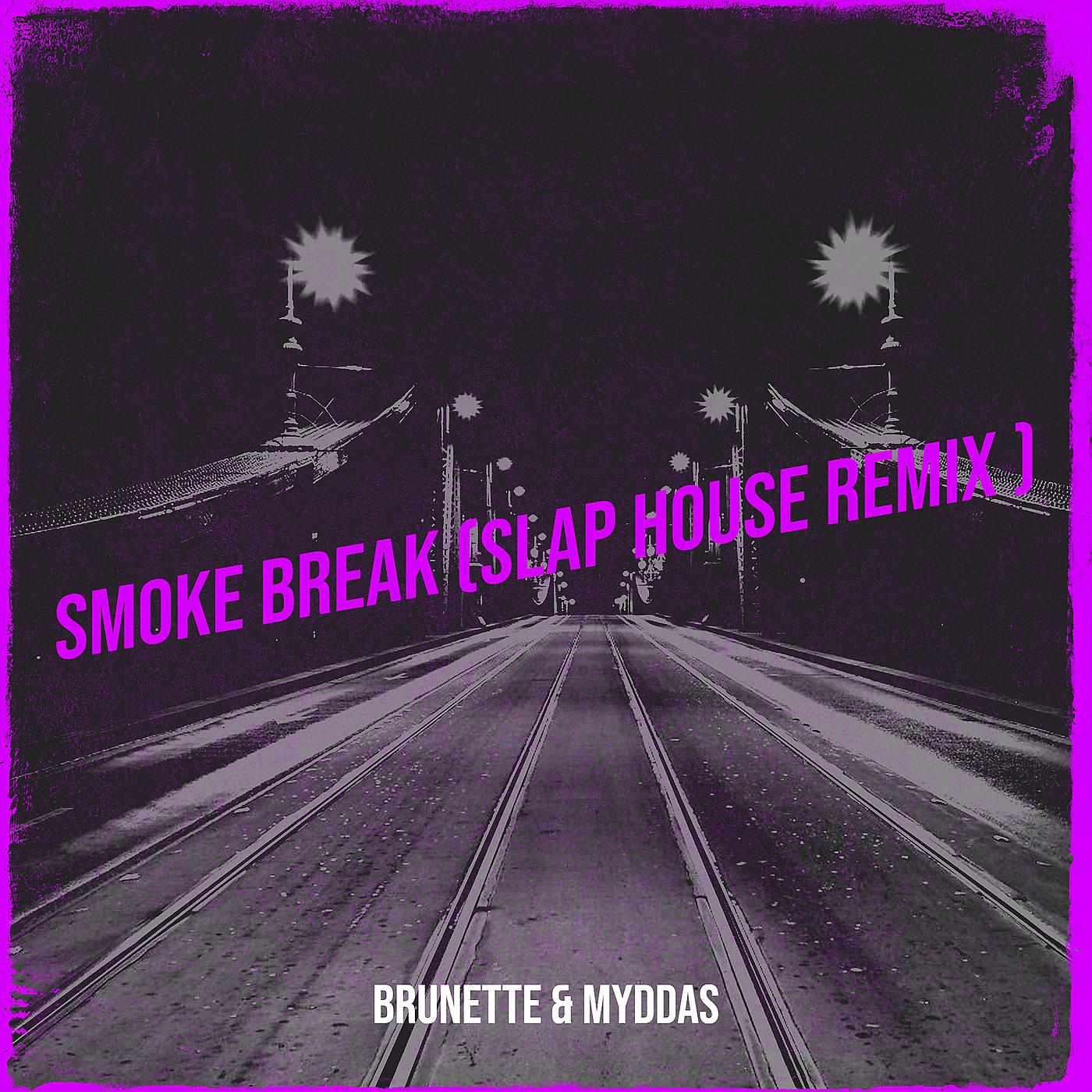 Постер альбома Smoke Break (Slap House Remix)