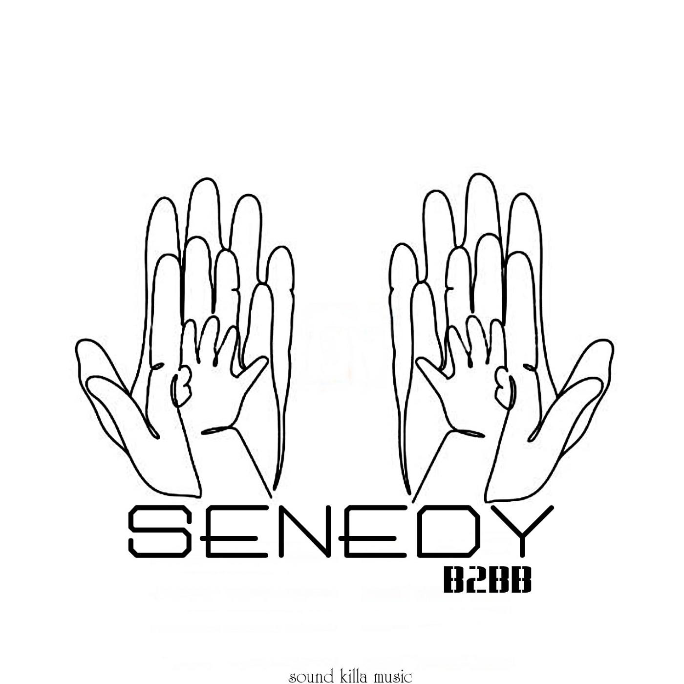 Постер альбома SENEDY