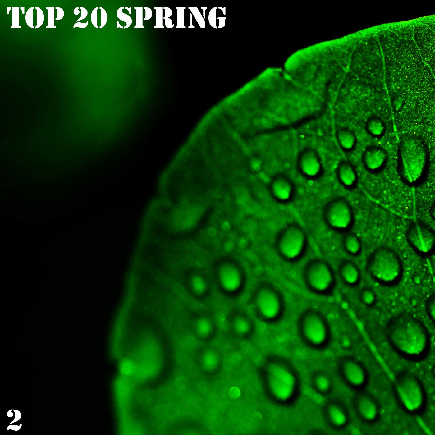 Постер альбома TOP 20 Spring,  Vol. 2