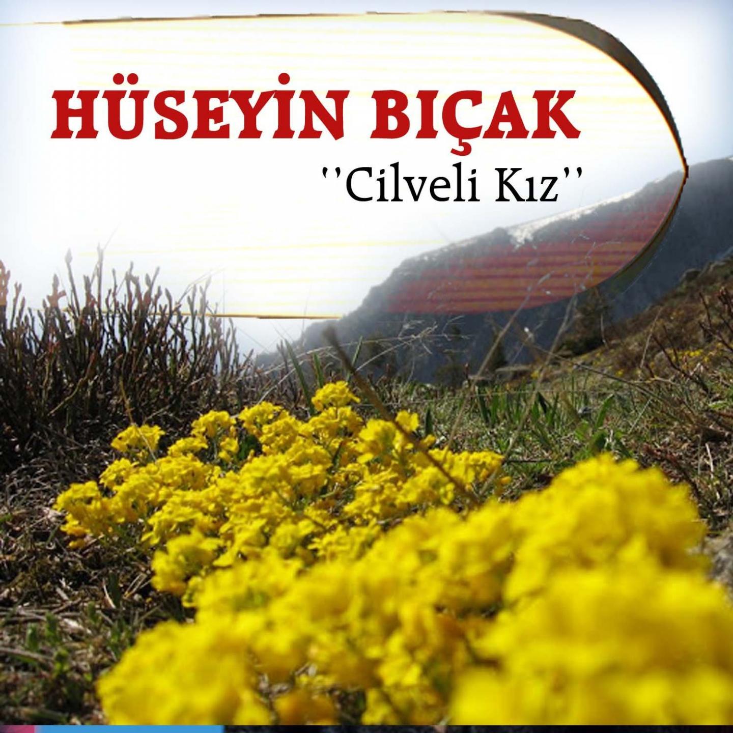 Постер альбома Cilveli Kız