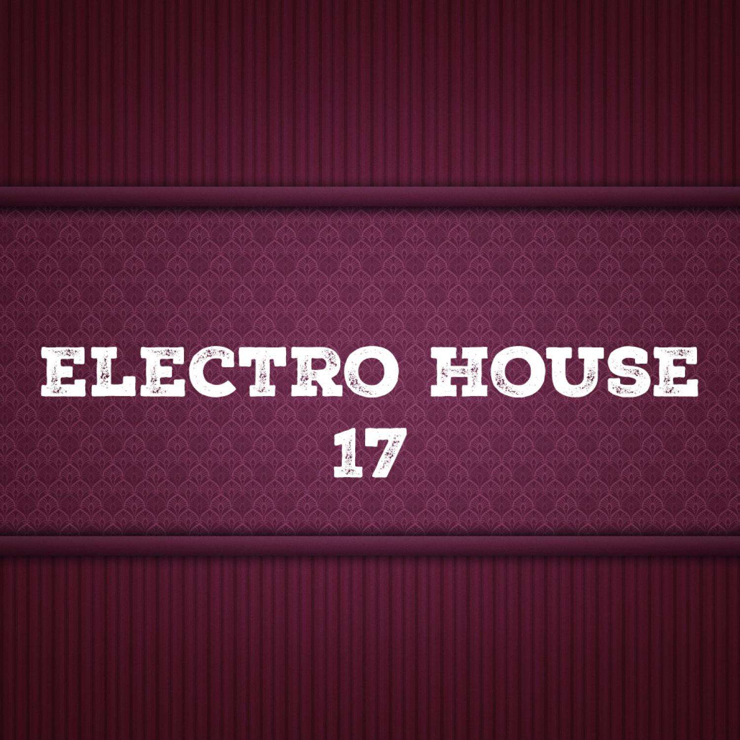 Постер альбома Electro House, Vol. 17