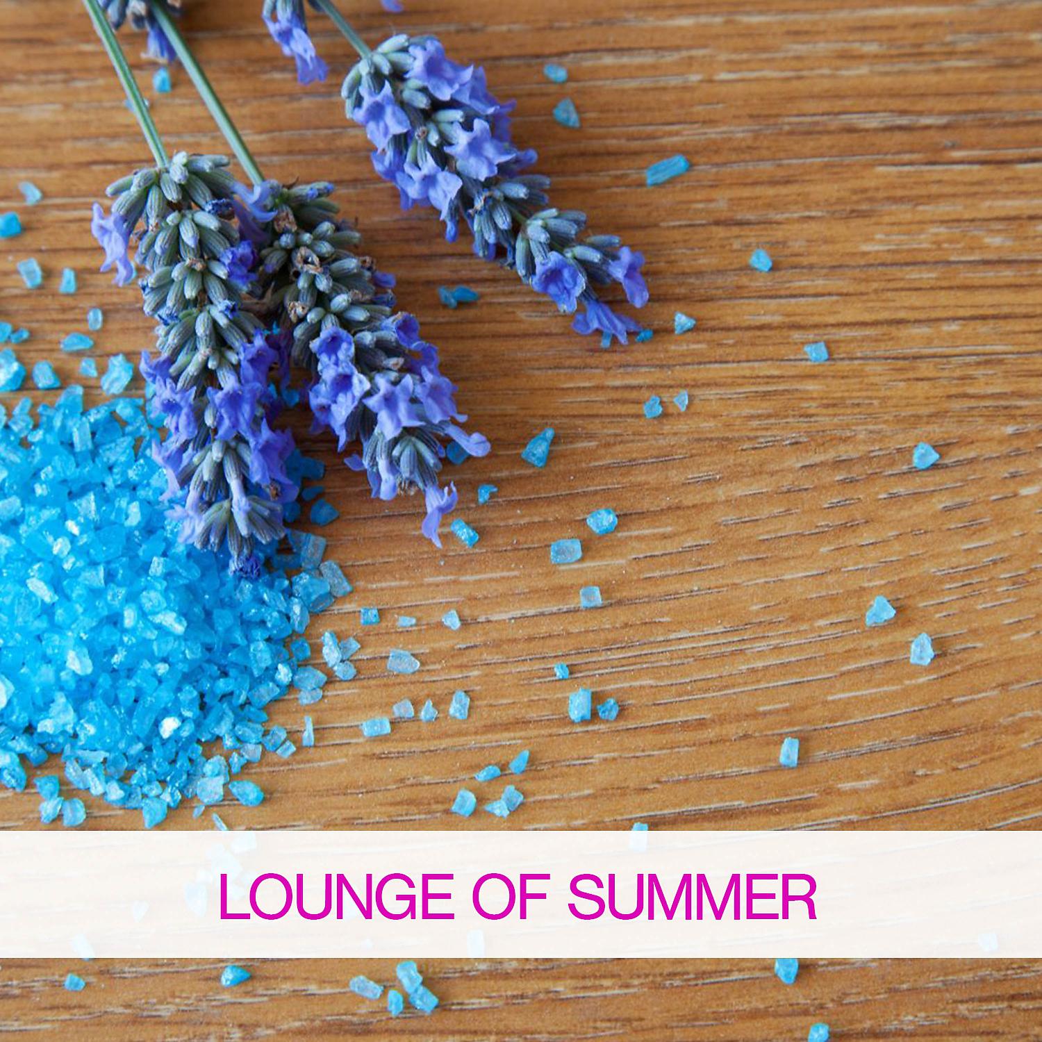 Постер альбома Lounge of Summer