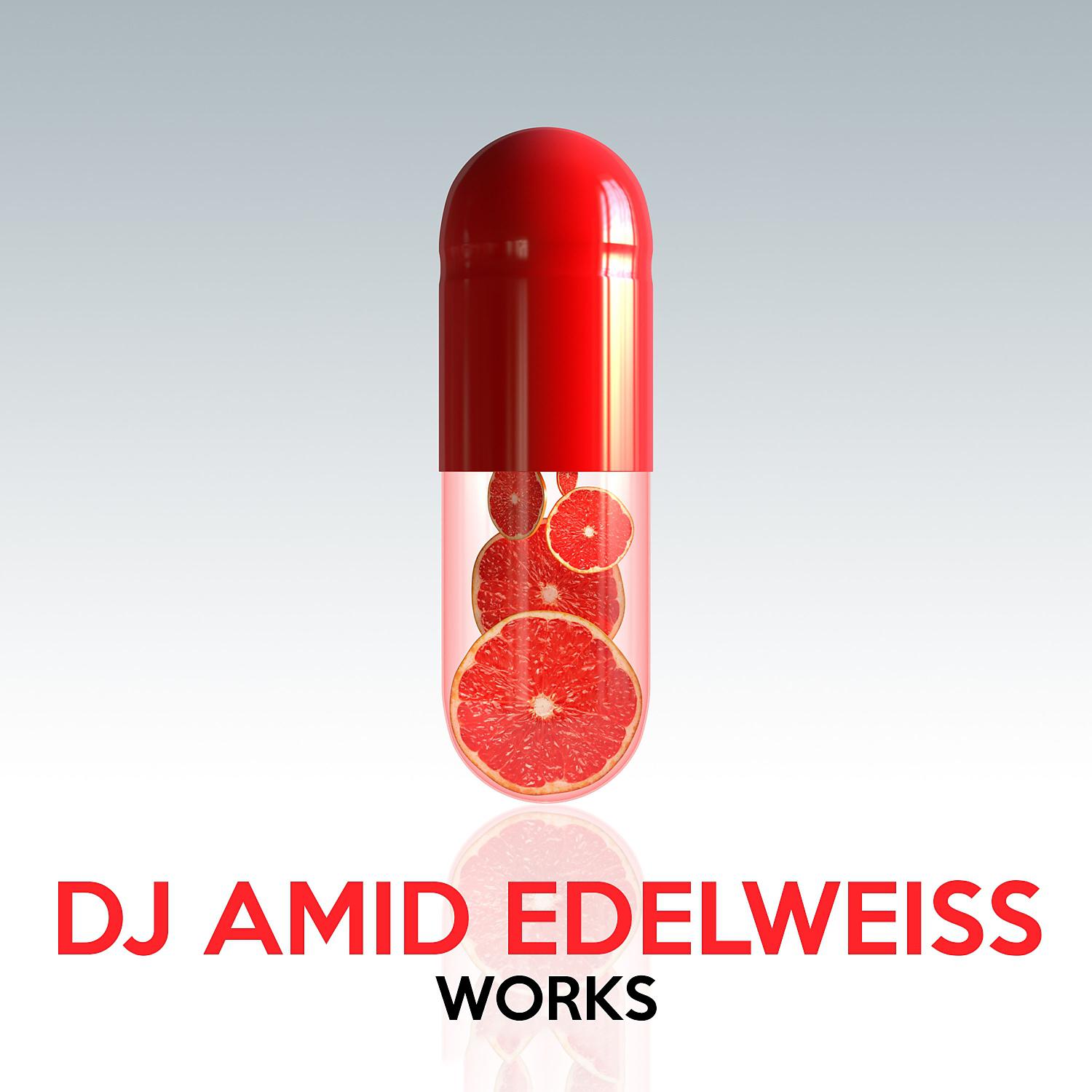 Постер альбома DJ Amid Edelweiss Works