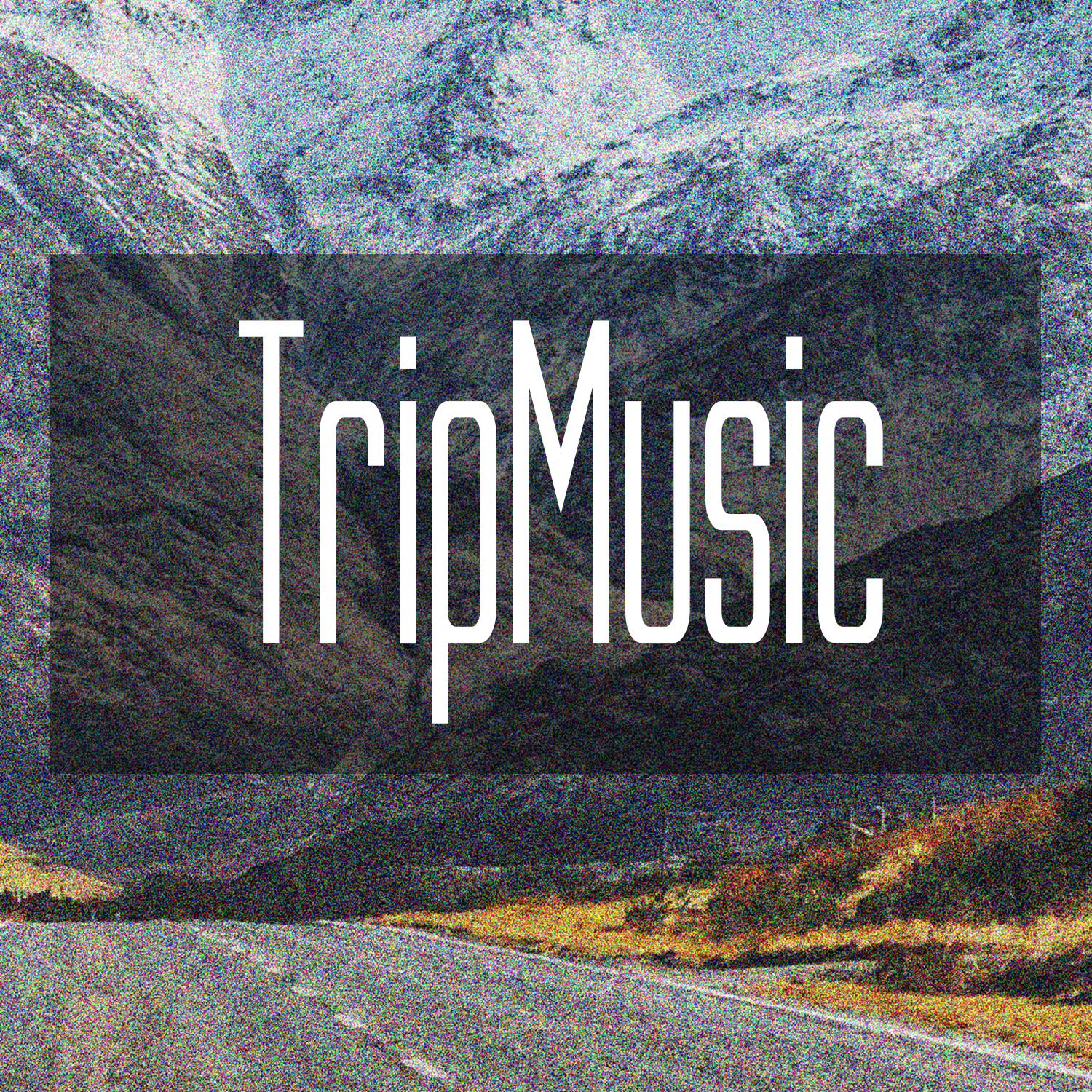 Постер альбома TripMusic