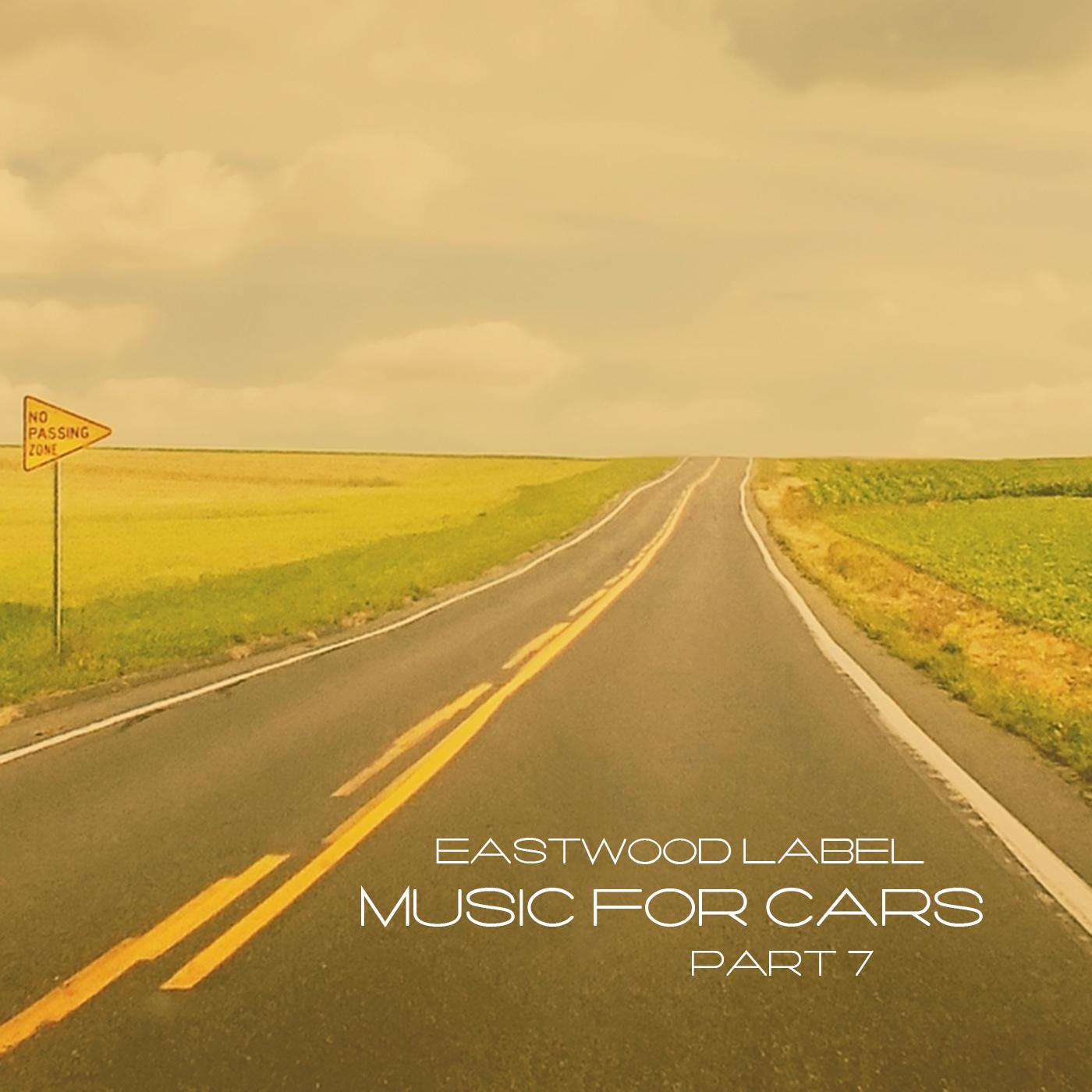 Постер альбома Music for Cars, Vol. 7