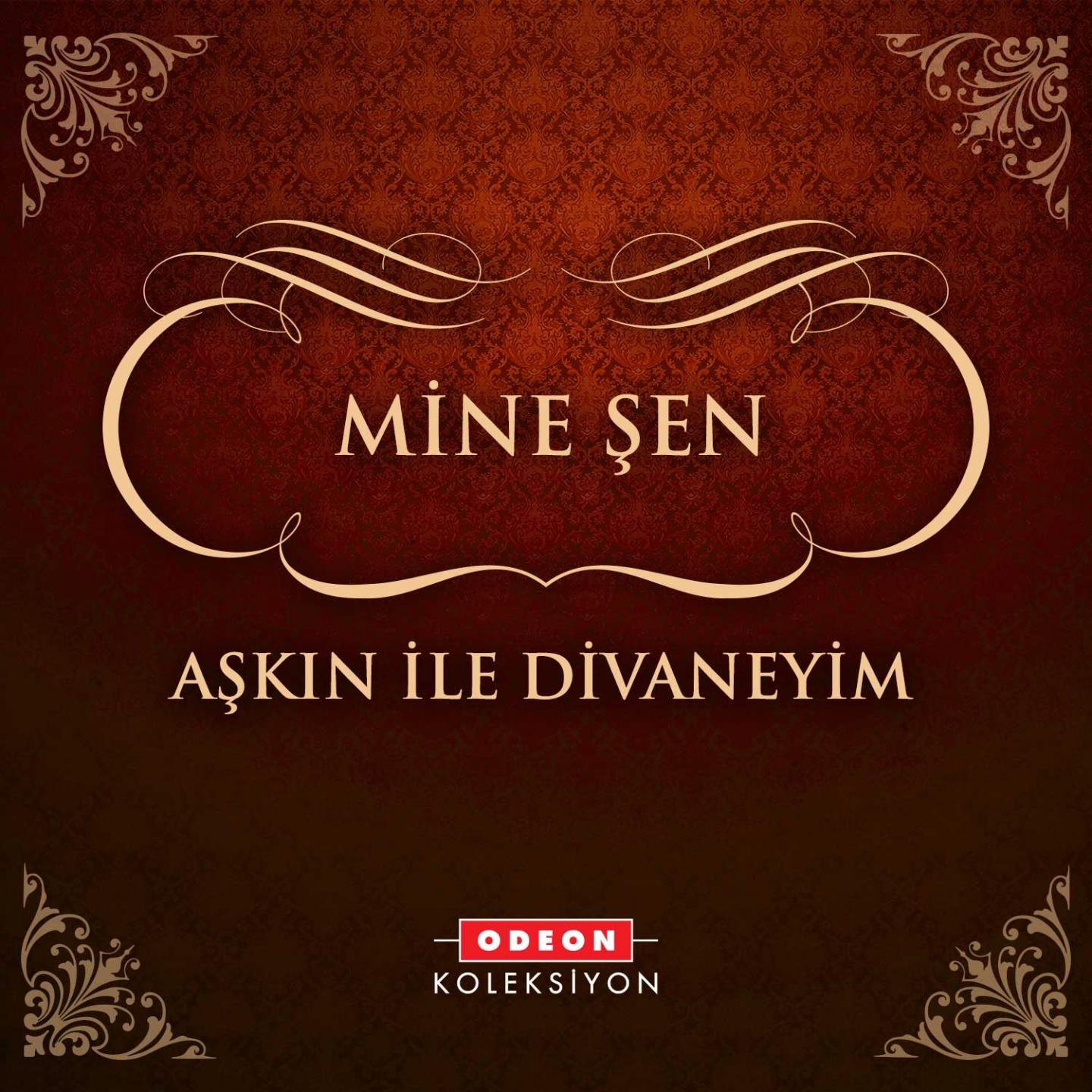 Постер альбома Aşkın İle Divaneyim