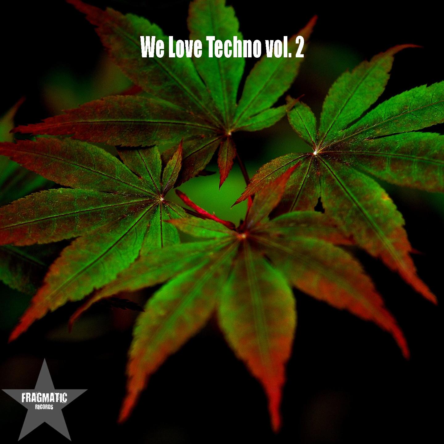 Постер альбома We Love Techno, Vol. 2