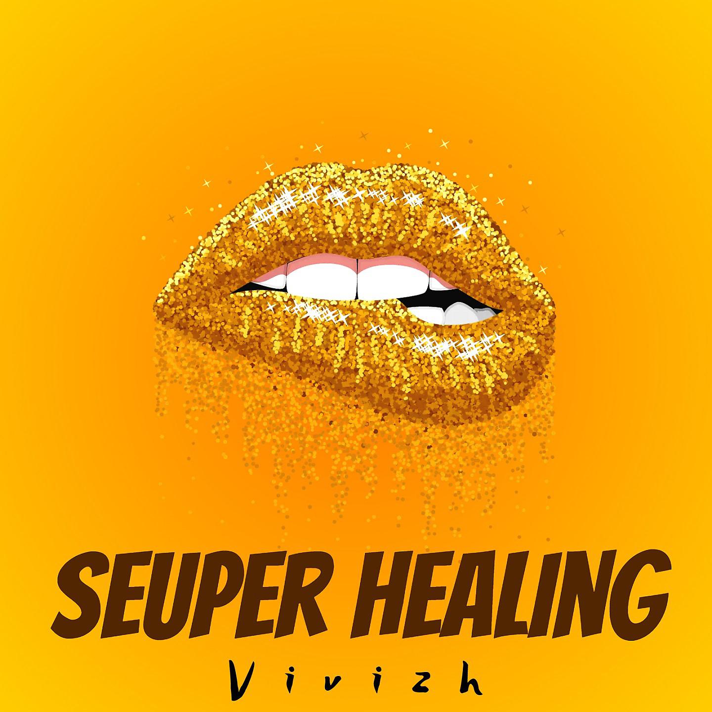 Постер альбома Disco Seuper Healing