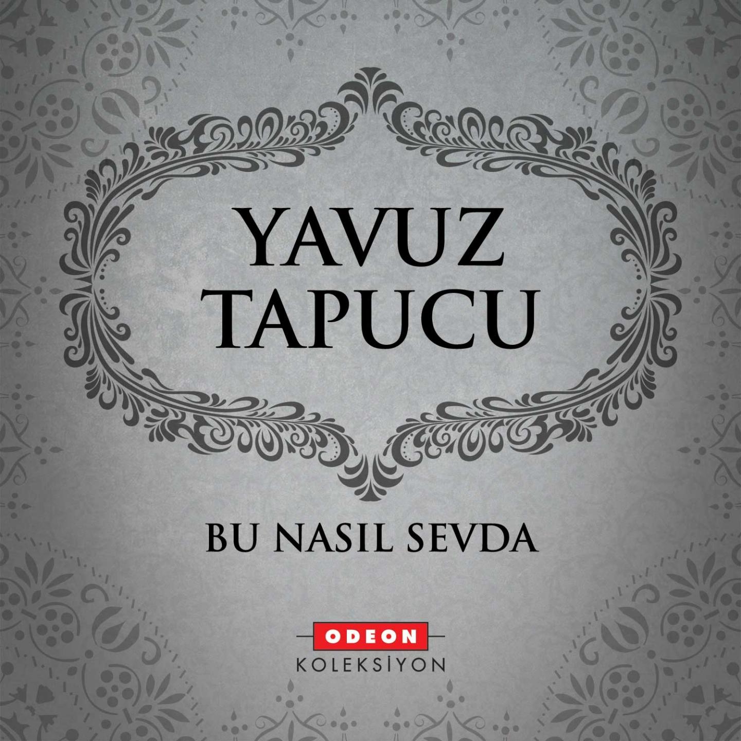 Постер альбома Bu Nasıl Sevda
