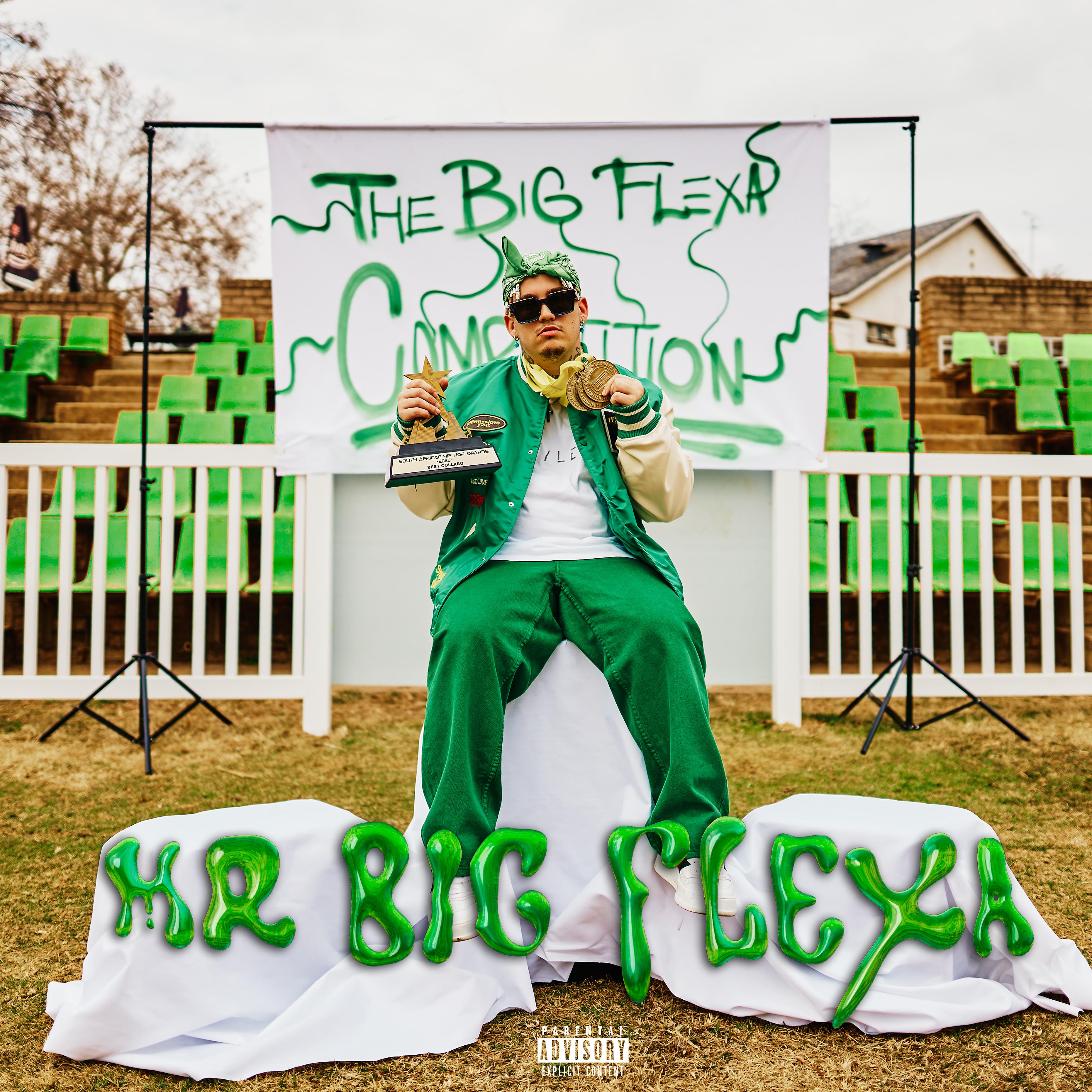 Постер альбома Mr Big Flexa