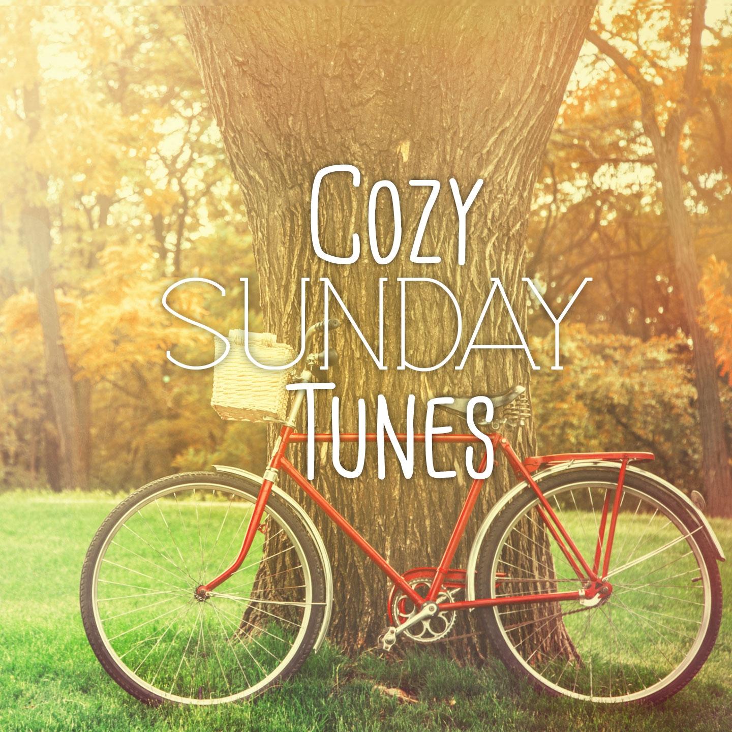 Постер альбома Cozy Sunday Tunes, Vol. 1