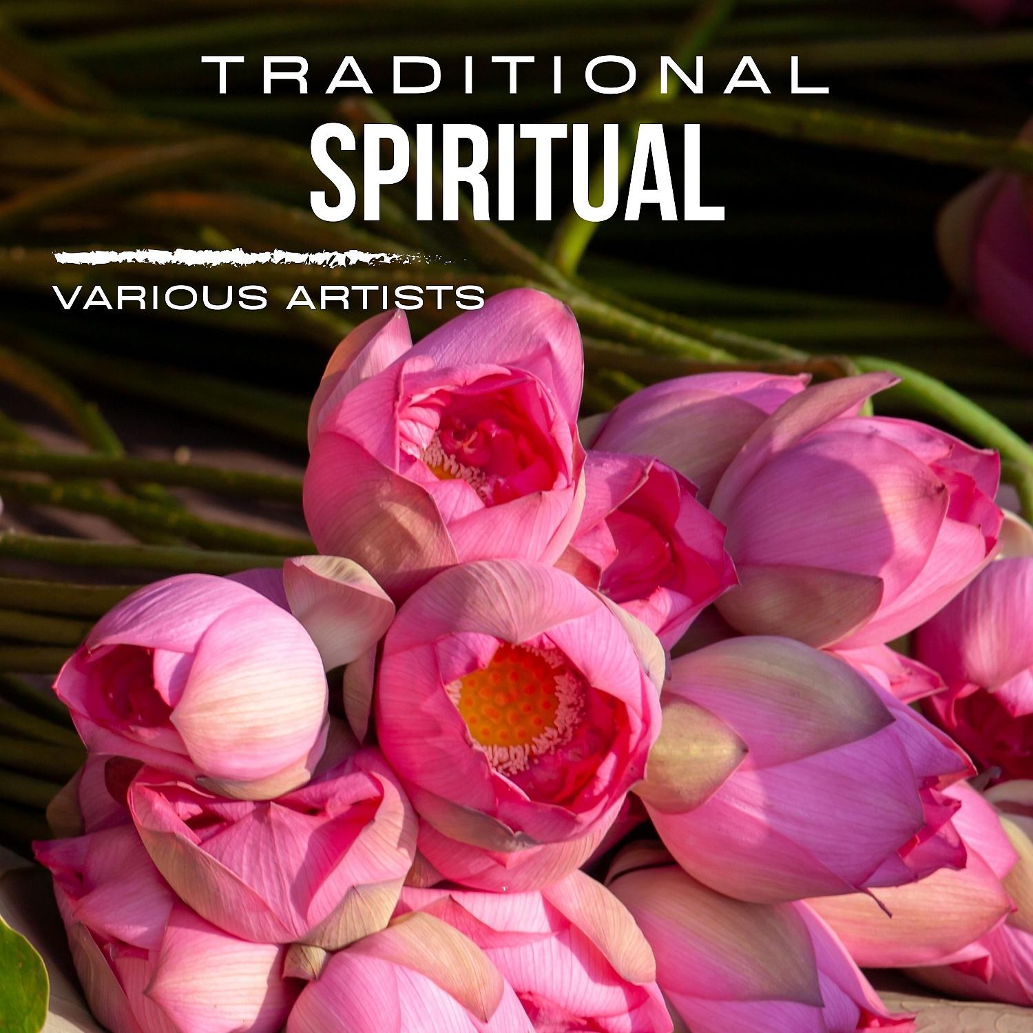 Постер альбома Traditional Spiritual