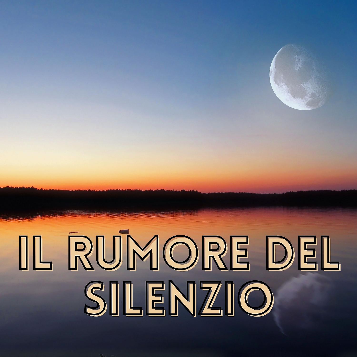 Постер альбома Il Rumore Del Silenzio