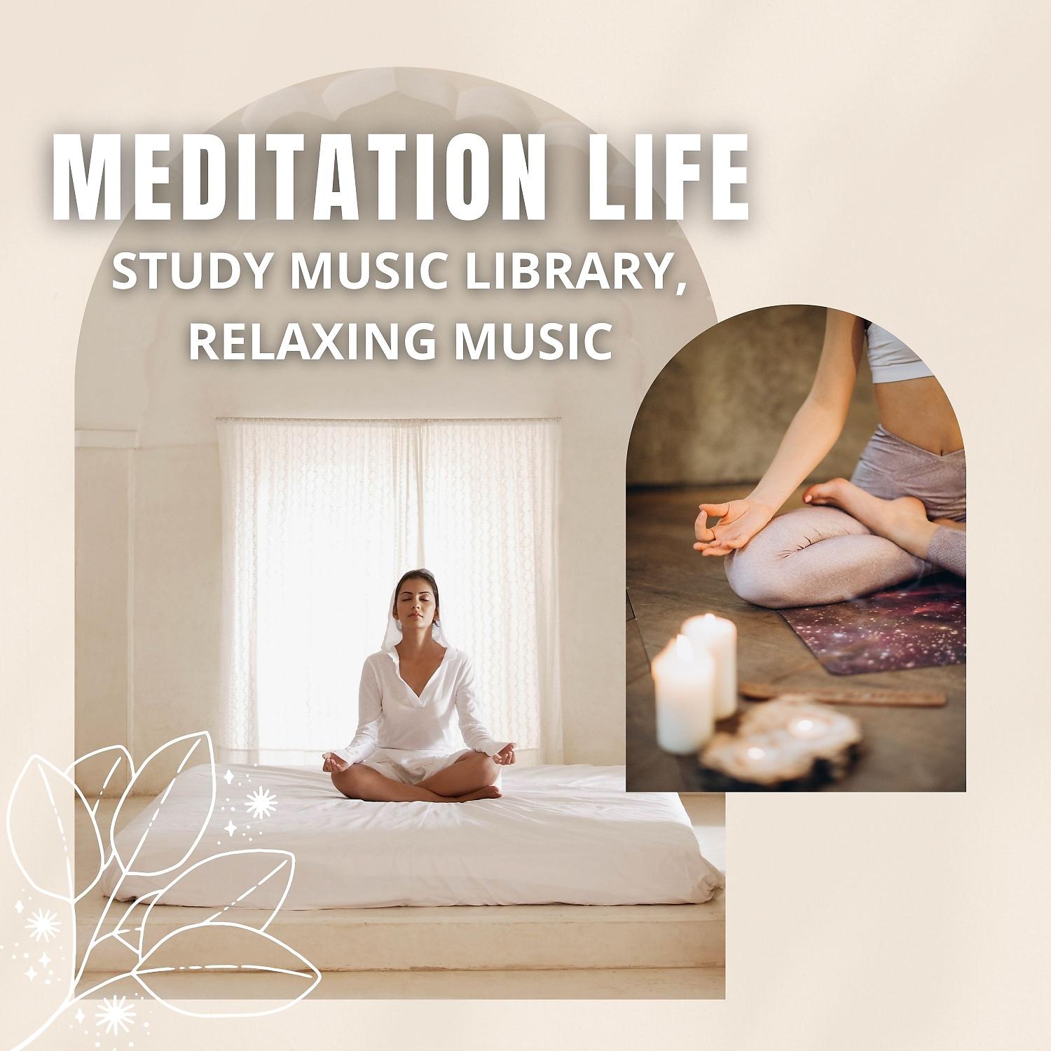 Постер альбома Meditation Life