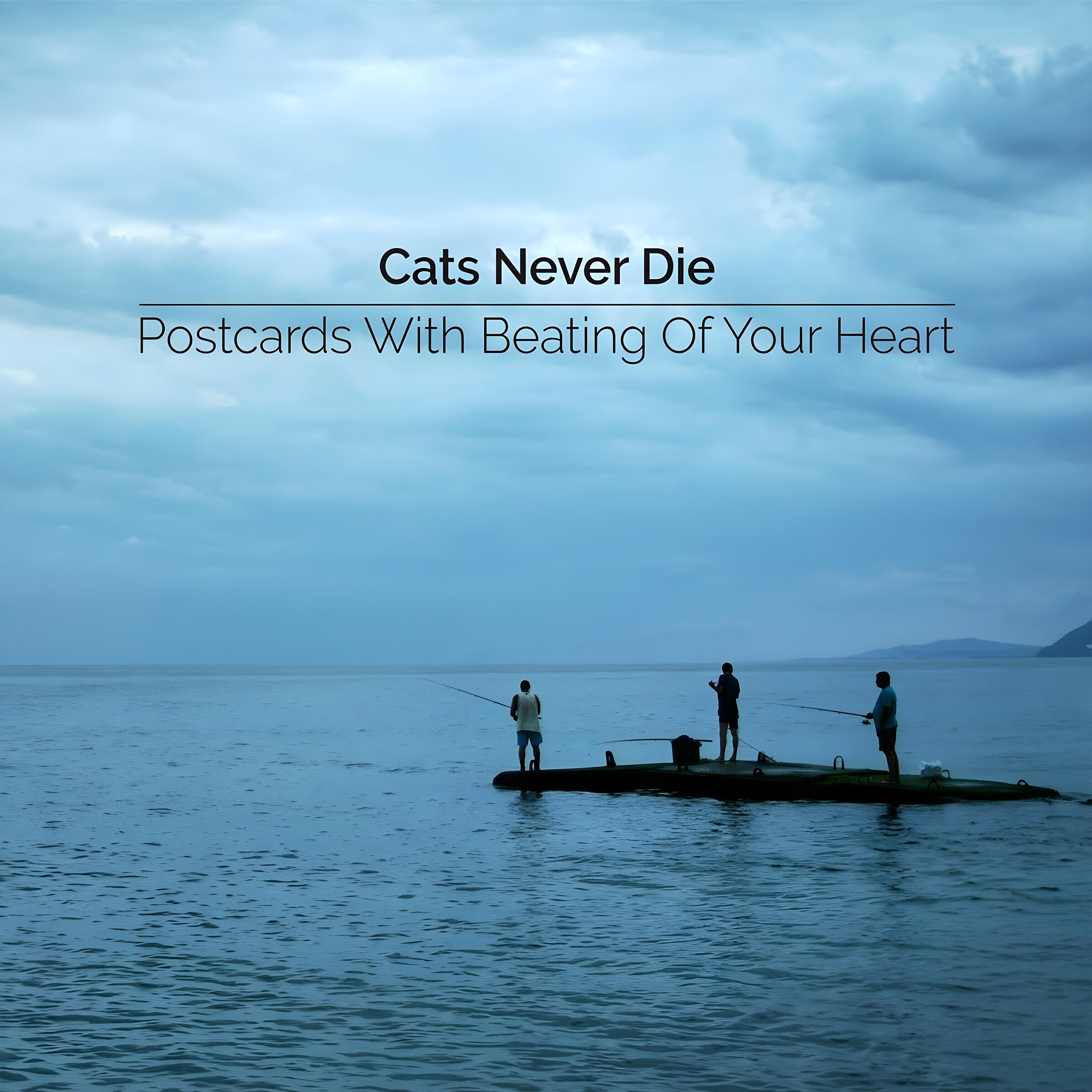 Постер альбома Postcards with Beating of Your Heart