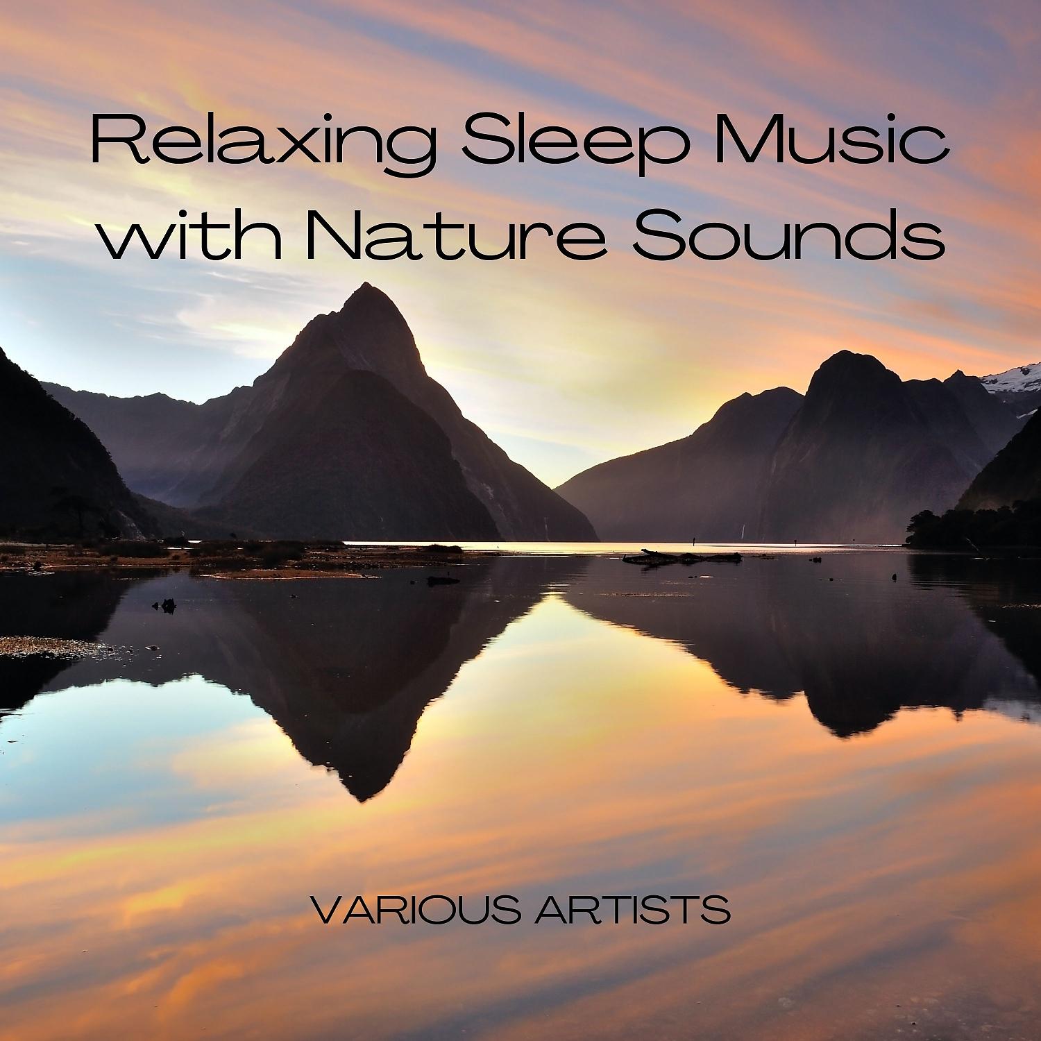 Постер альбома Relaxing Sleep Music with Nature Sounds