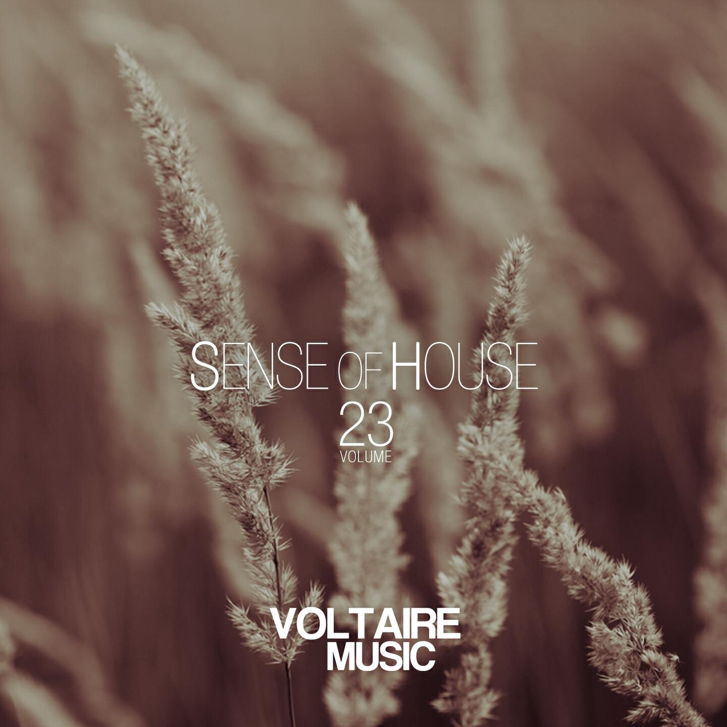 Sven Jaeger - Get the Fuck Out (Dan Noel Remix)