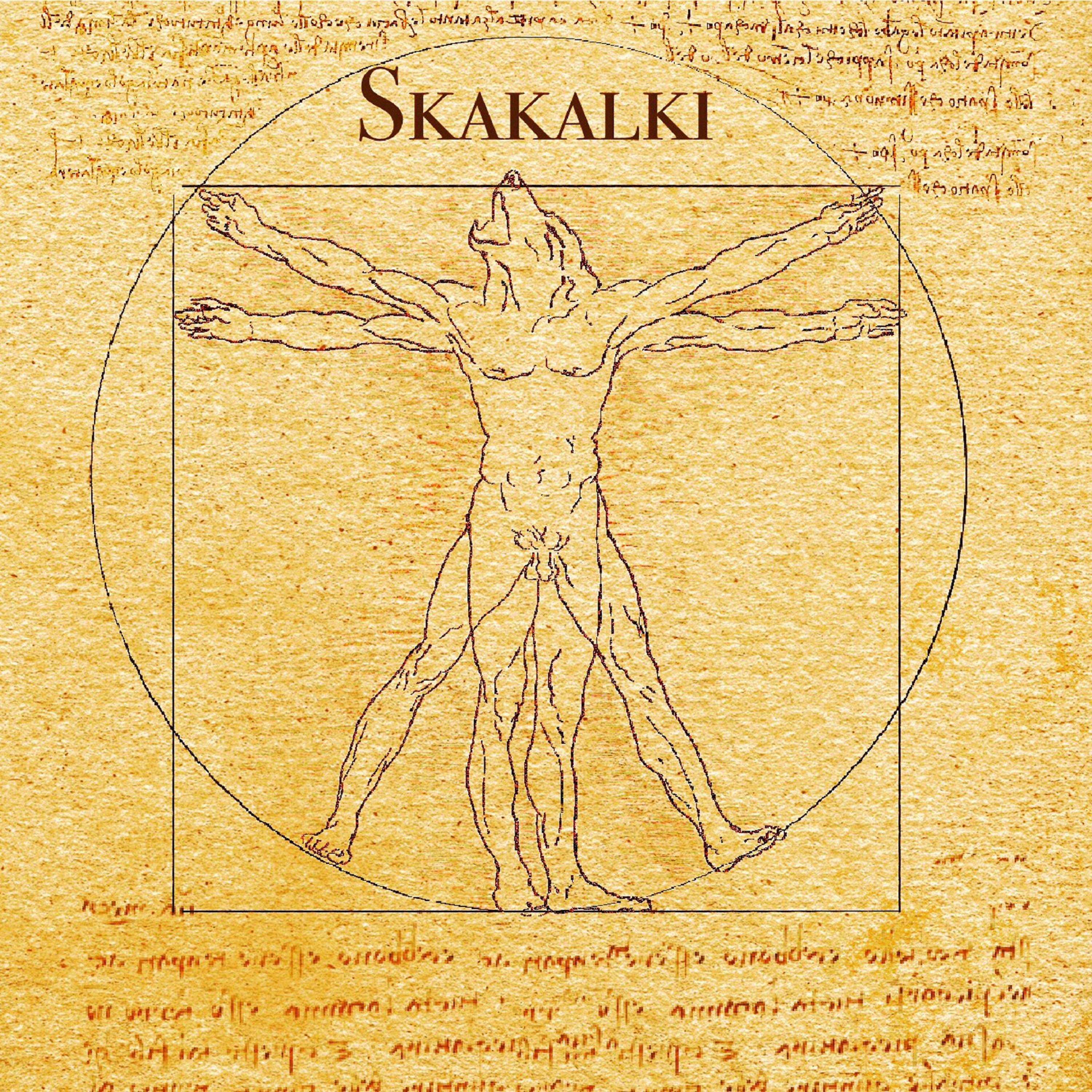 Постер альбома Skakalki
