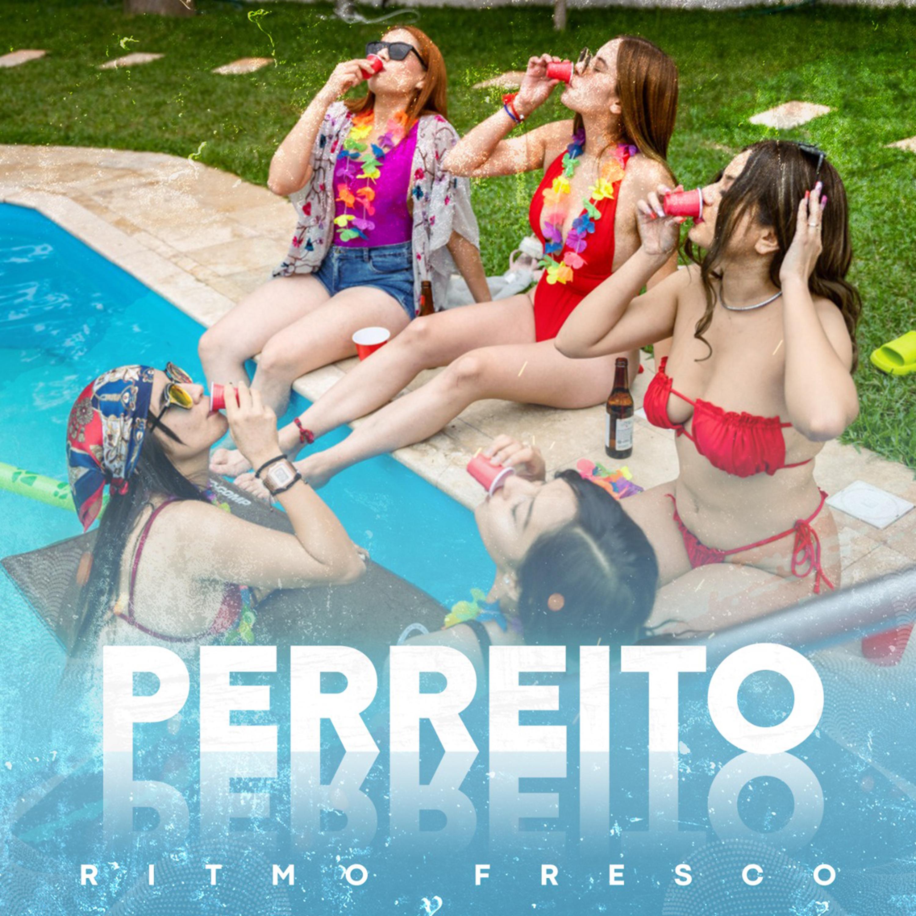 Постер альбома Perreito