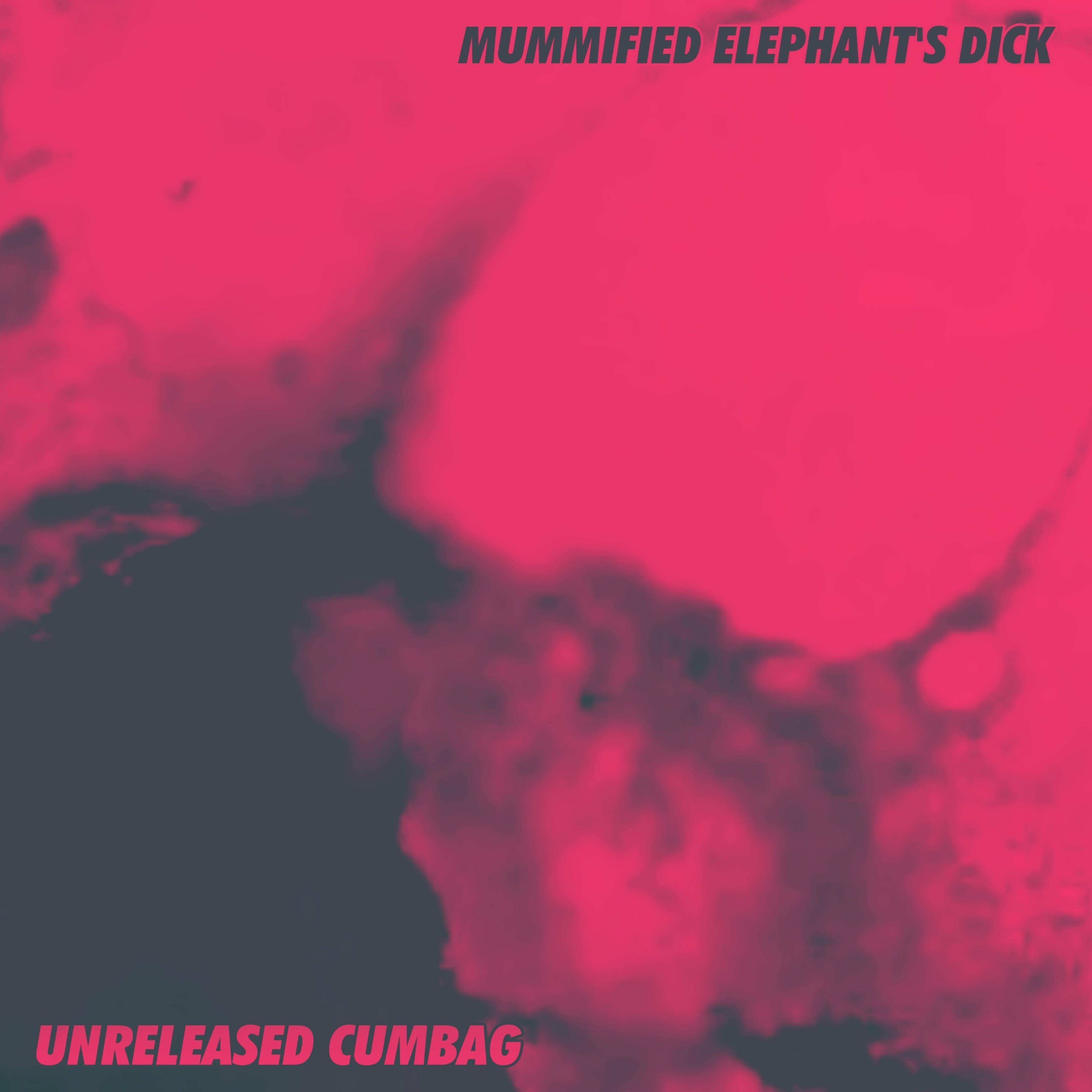 Постер альбома Unreleased Cumbag