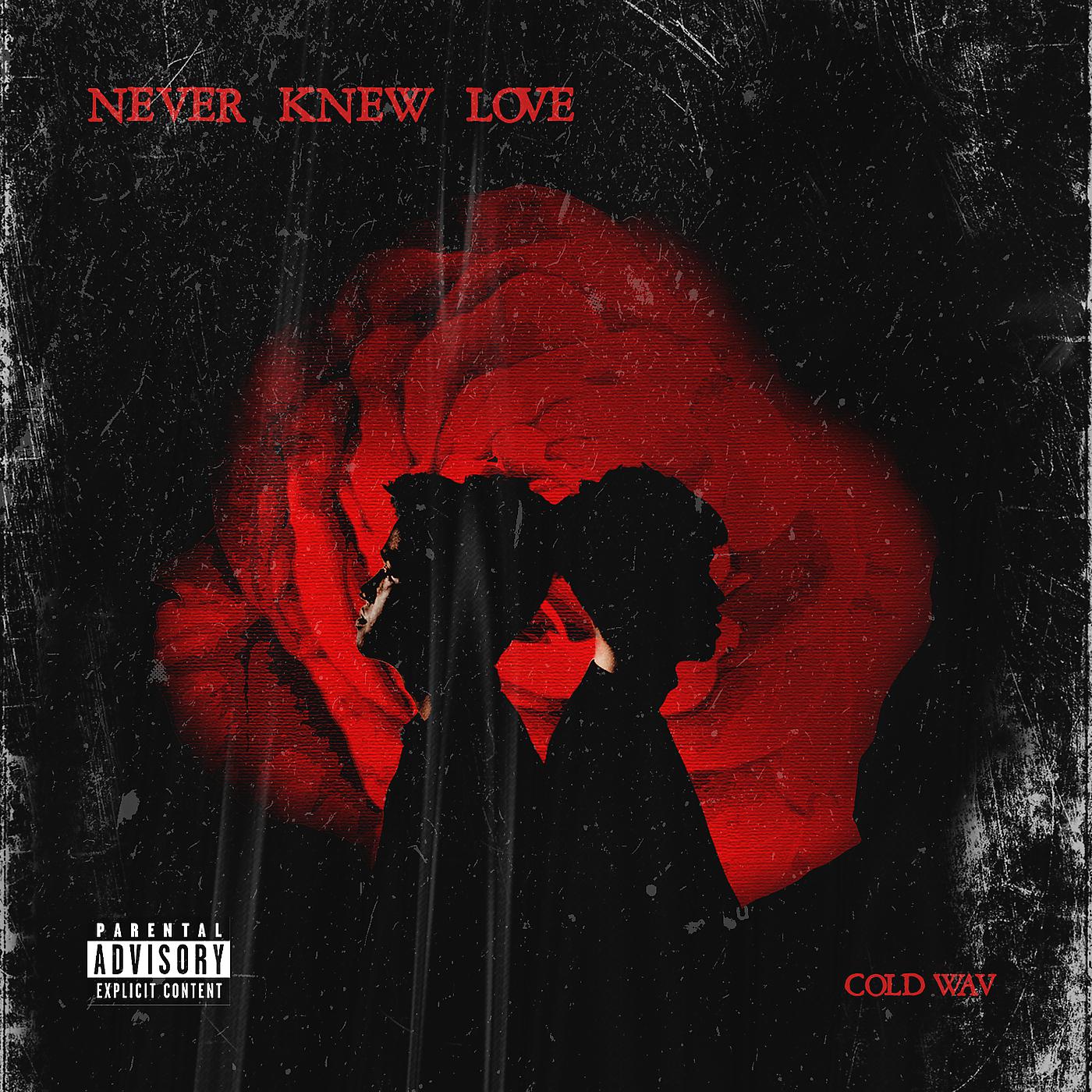 Постер альбома Never Knew Love