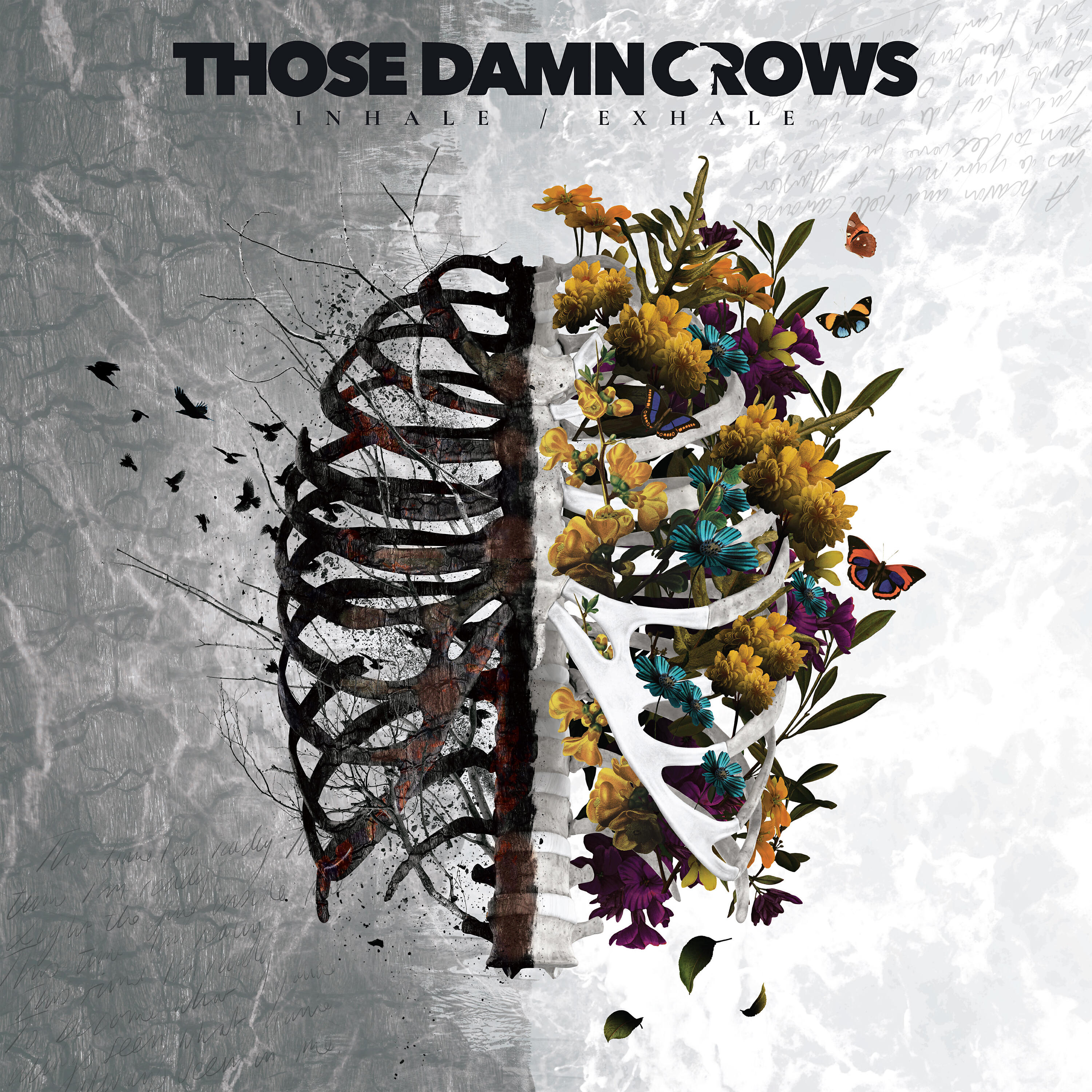 Those damn crows i am перевод. Crows band itch. Those damn crows. Crows band itch. Wake up релиз.