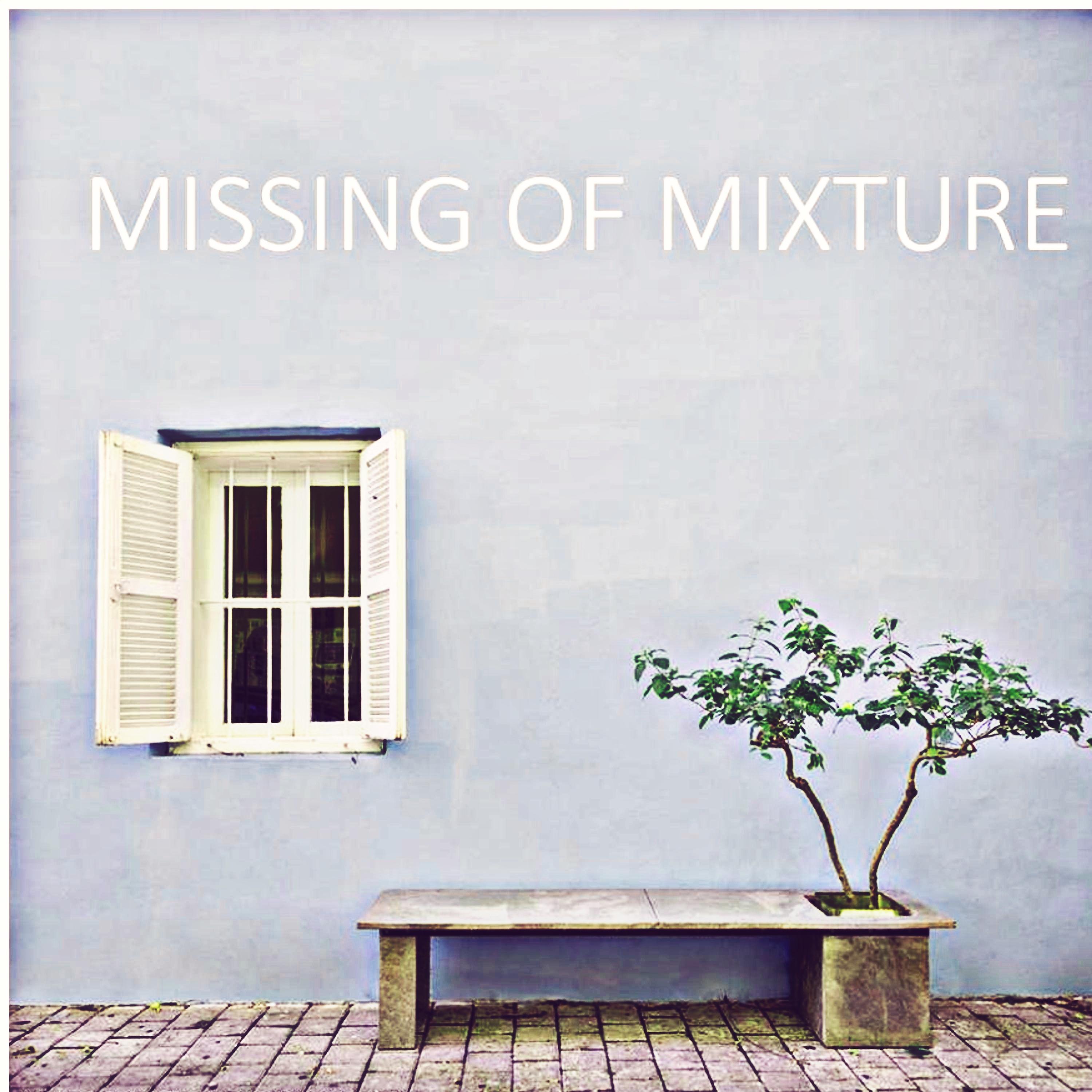 Постер альбома Missing Of Mixture